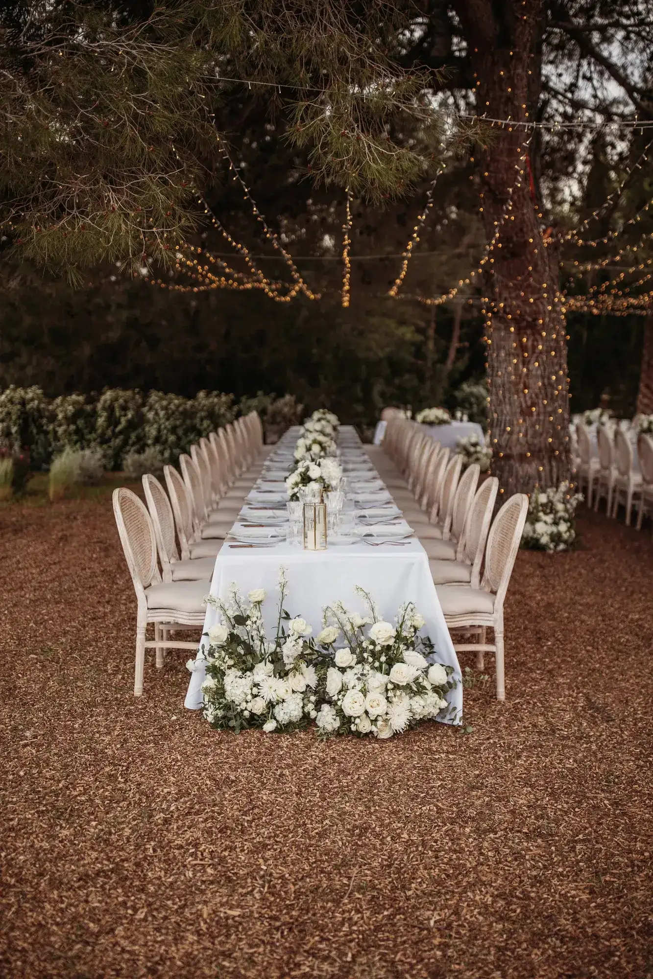 A long white table under the pines, white roses at its foot