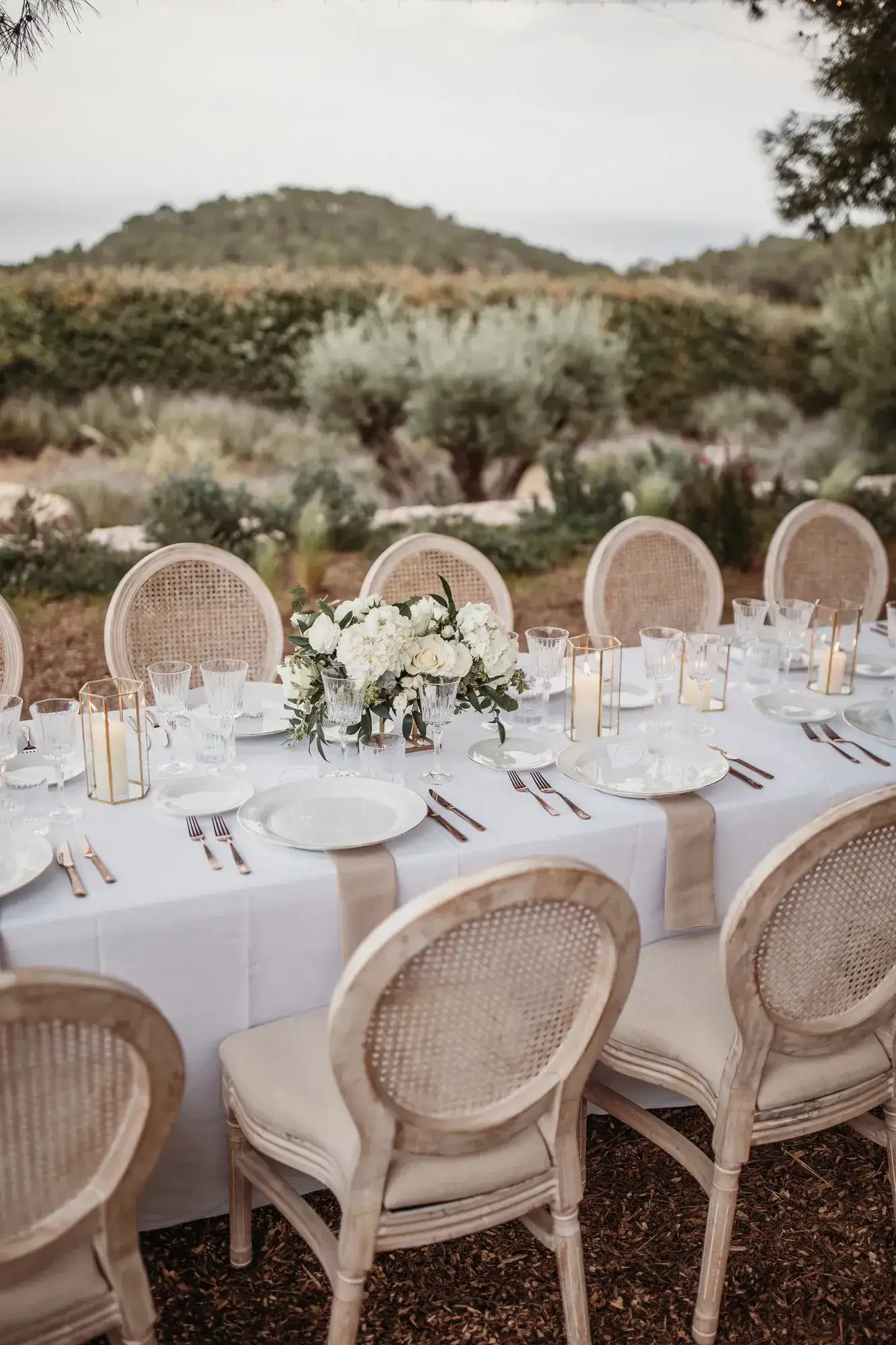 Round tables and rattan chairs above the olive groves