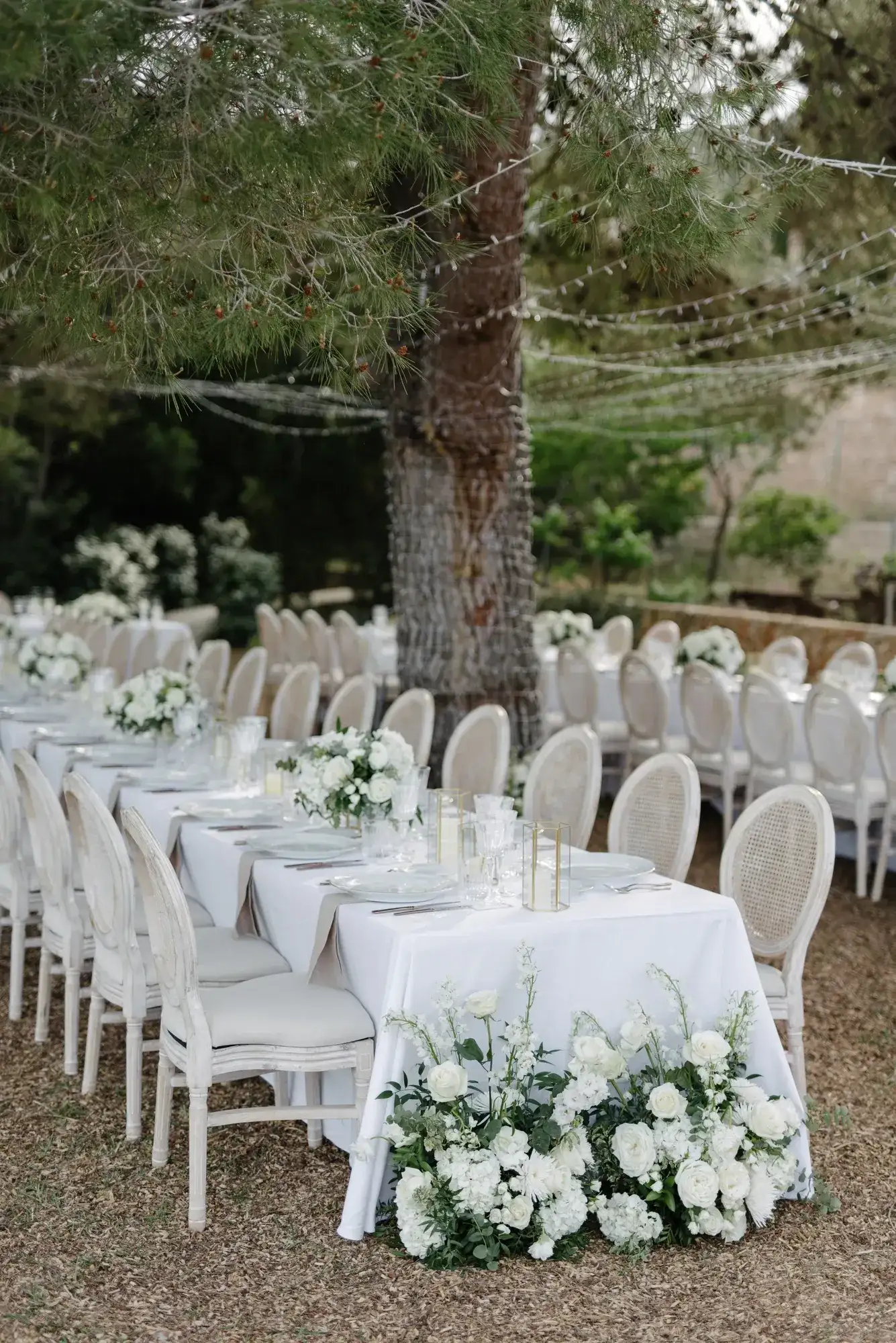White tables and flowers under the pines