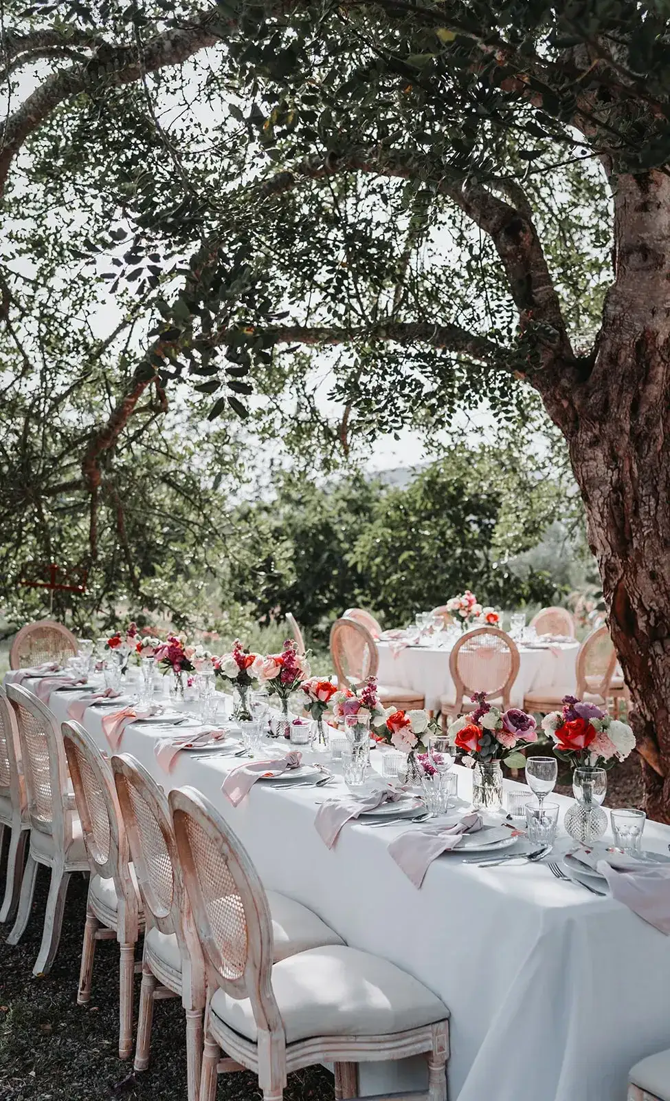 Red flowers on a long table under olive branches