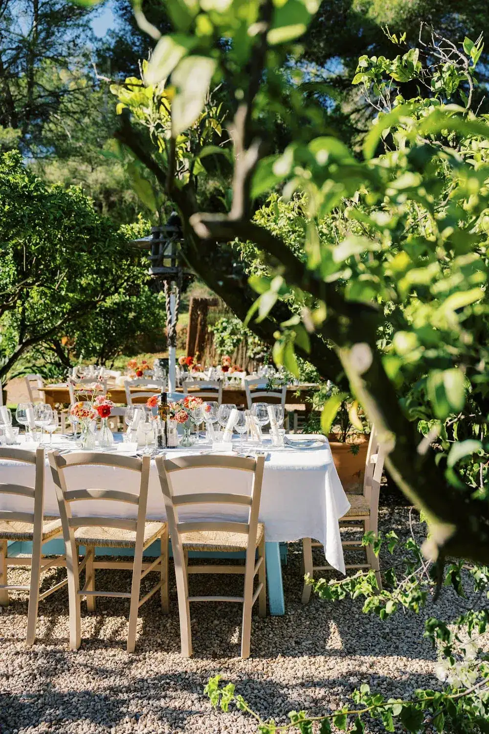 Tables under a fig tree, La Paloma