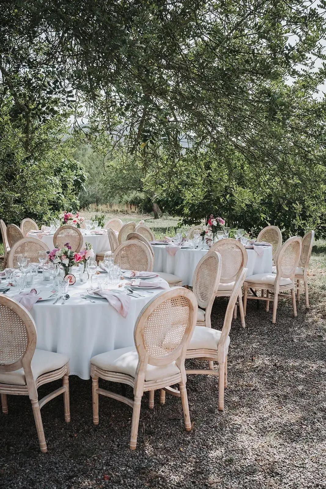 Round tables under the olive trees