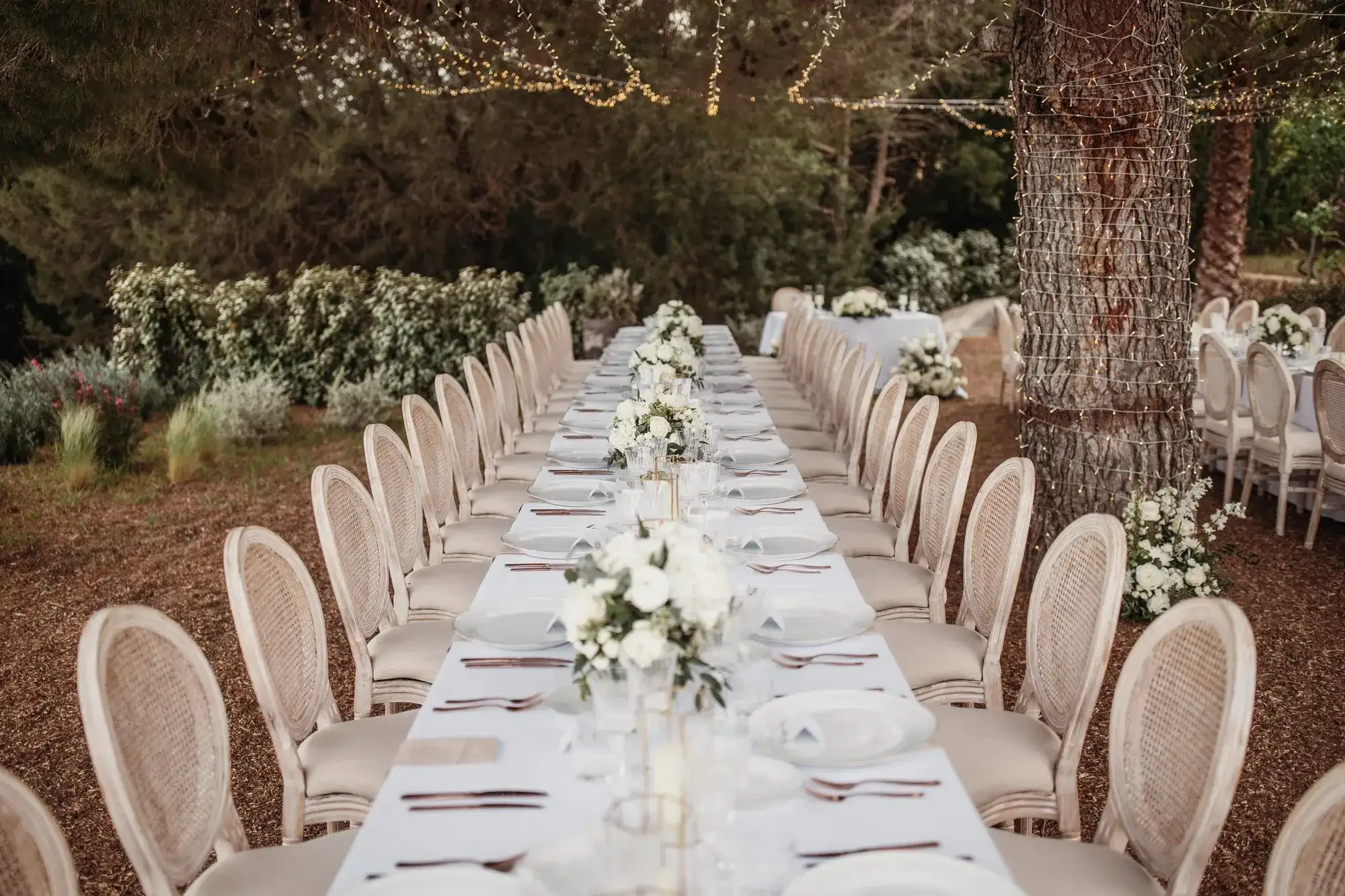 One long table under the trees, with rattan chairs and white flowers