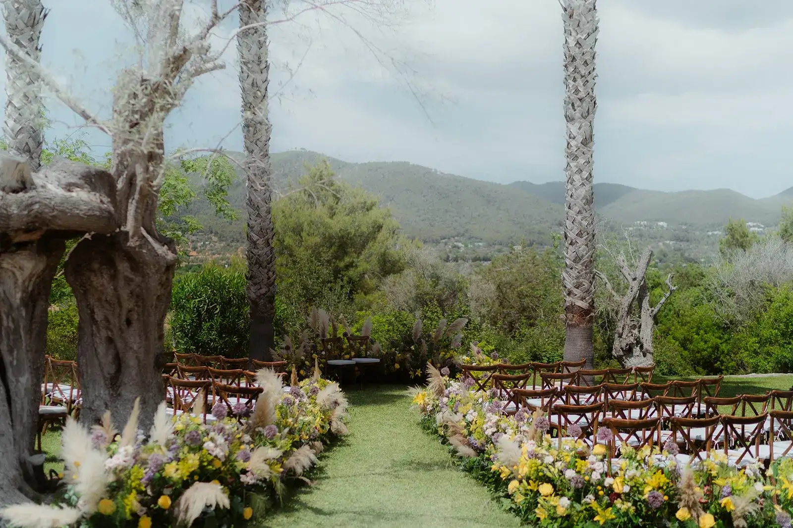 A wildflower aisle under olive trees, hills beyond, Can CG