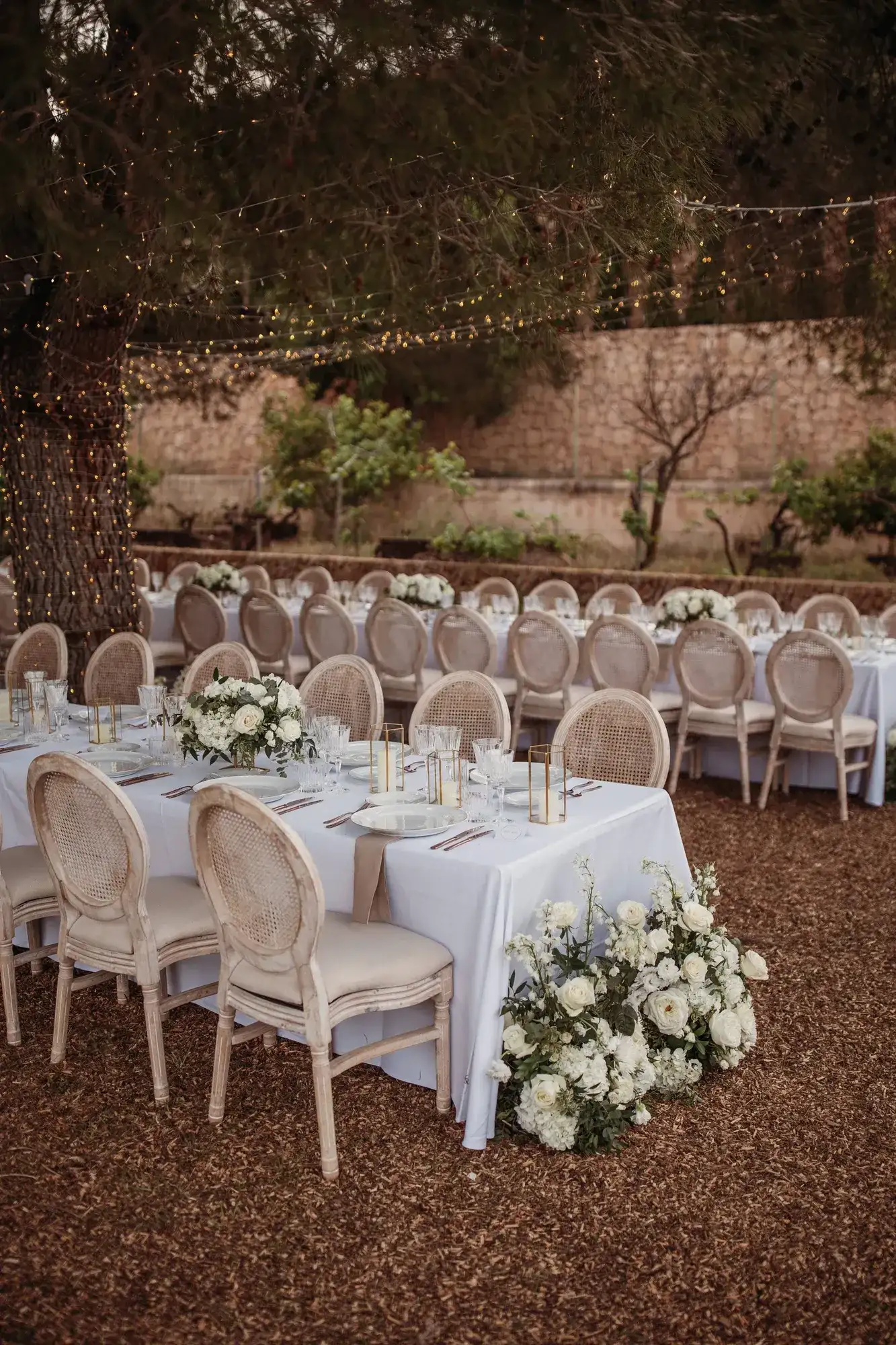 Rattan chairs and white roses under the pines