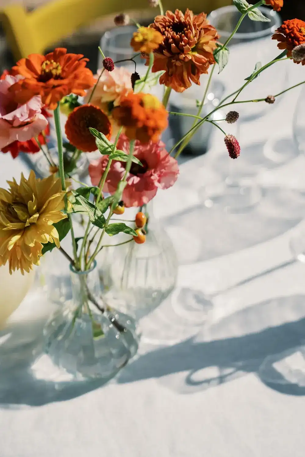 Orange and rust zinnias in glass vases, La Paloma
