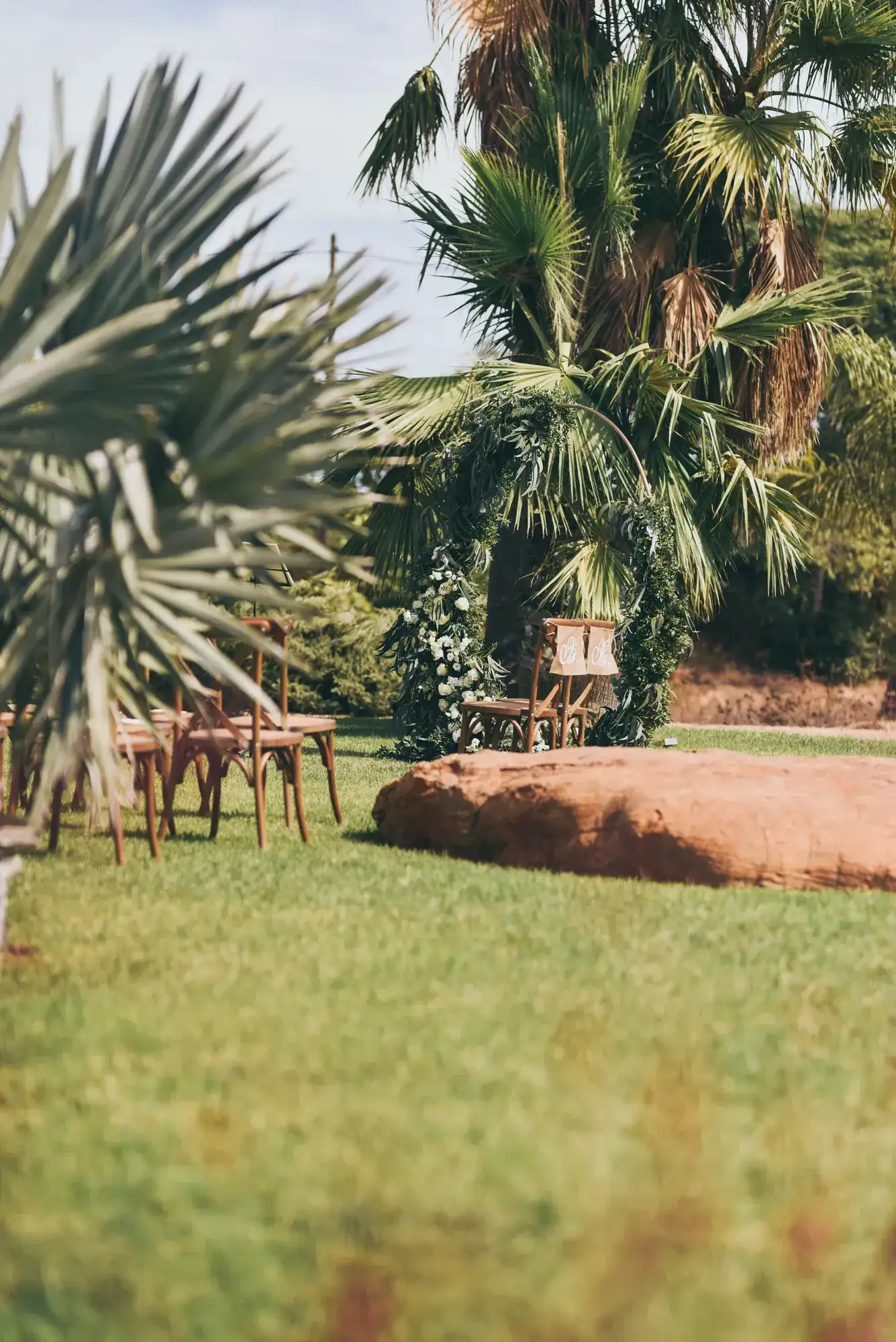 Palms and lawn, set for a garden ceremony