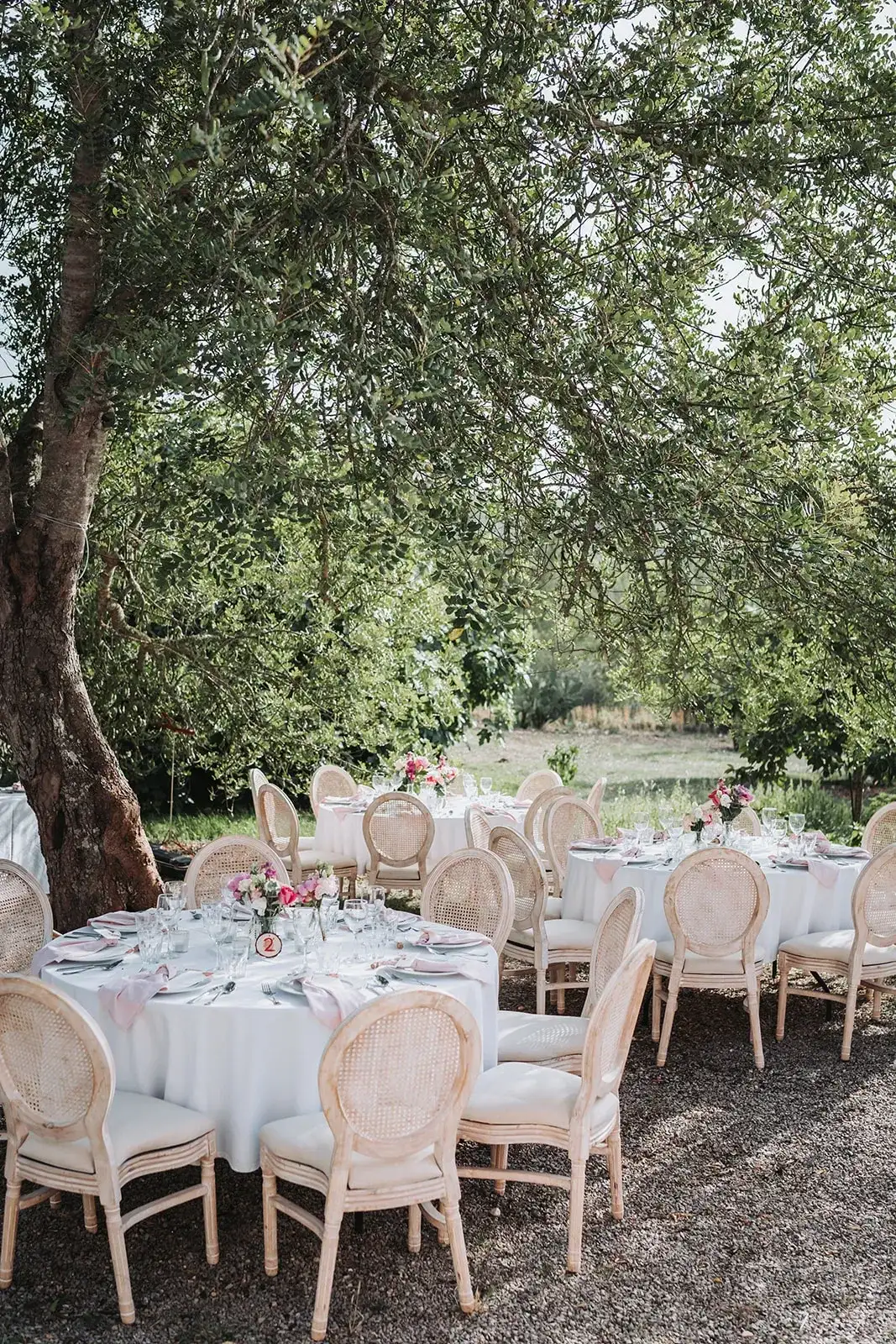 Round tables under olive trees