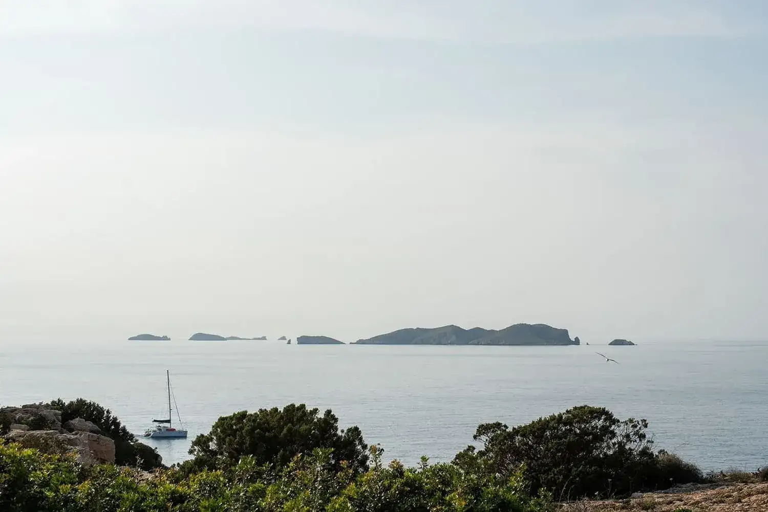 Lauren & David, wedding in Ibiza