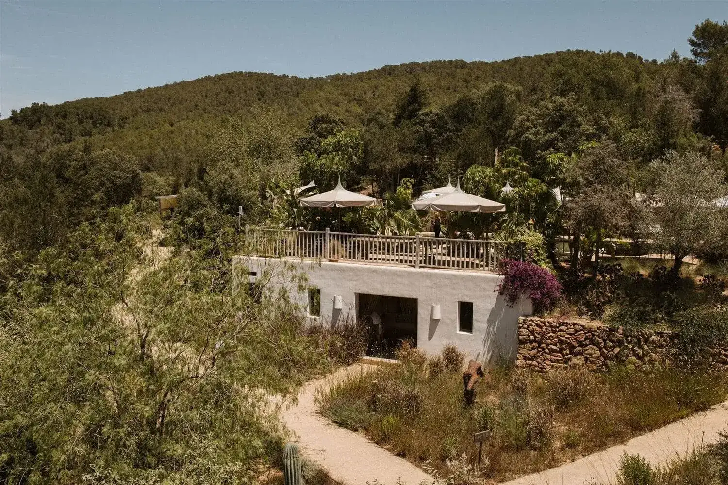 Sara & Pierre, wedding in Ibiza
