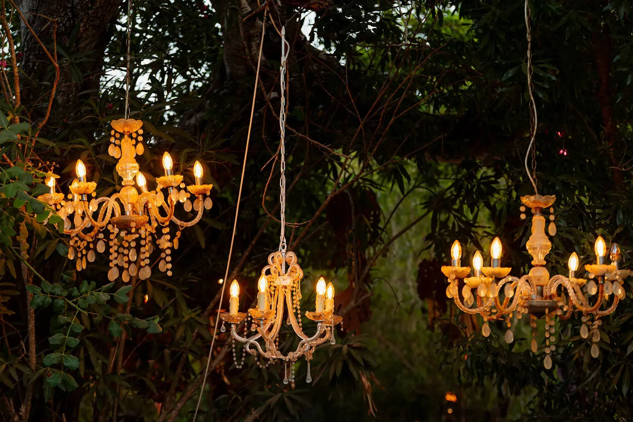 A mi Manera: Candle chandeliers hanging from the trees at night