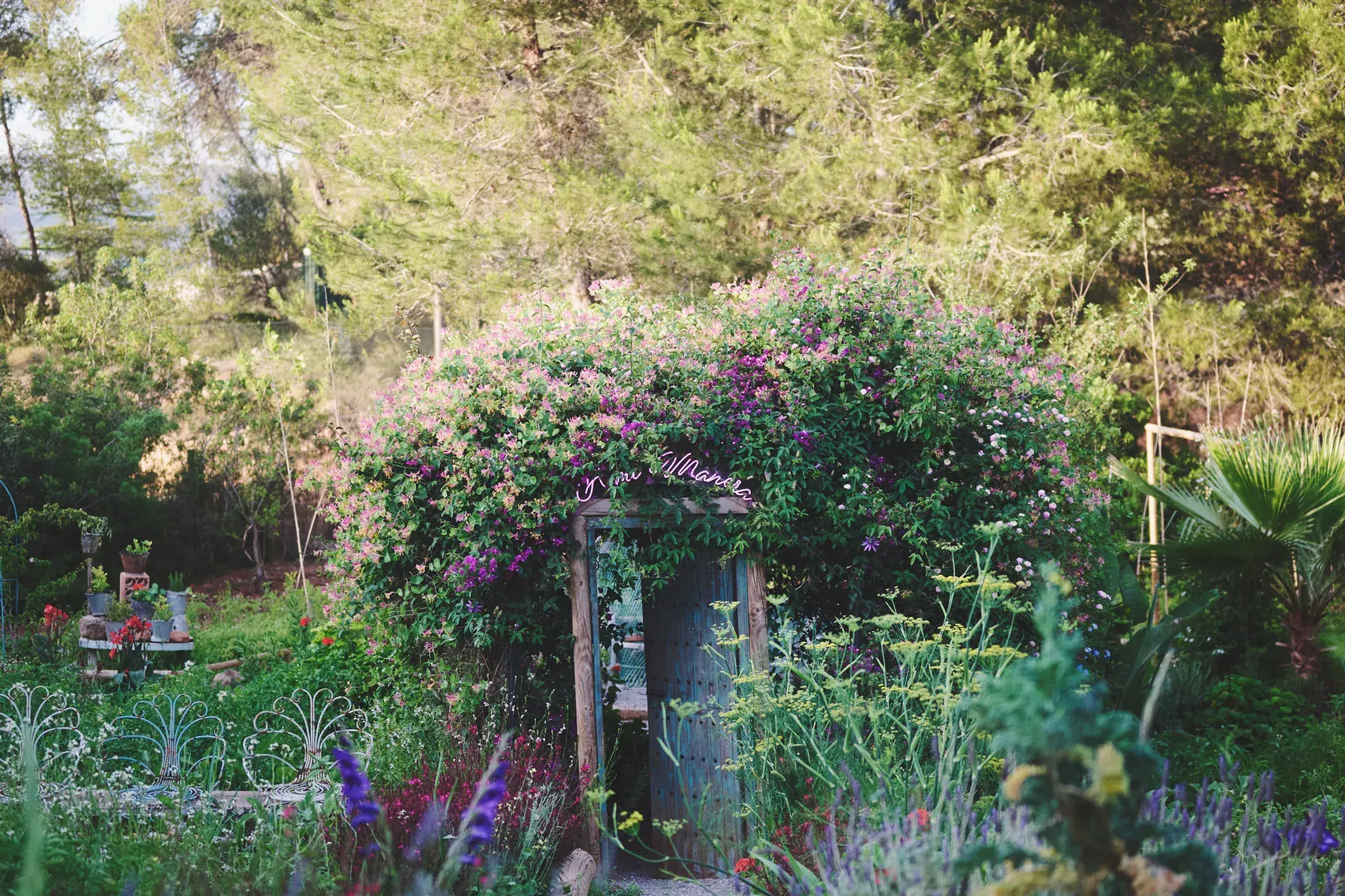 A mi Manera: Garden gate under a flowering arch among pines and herbs