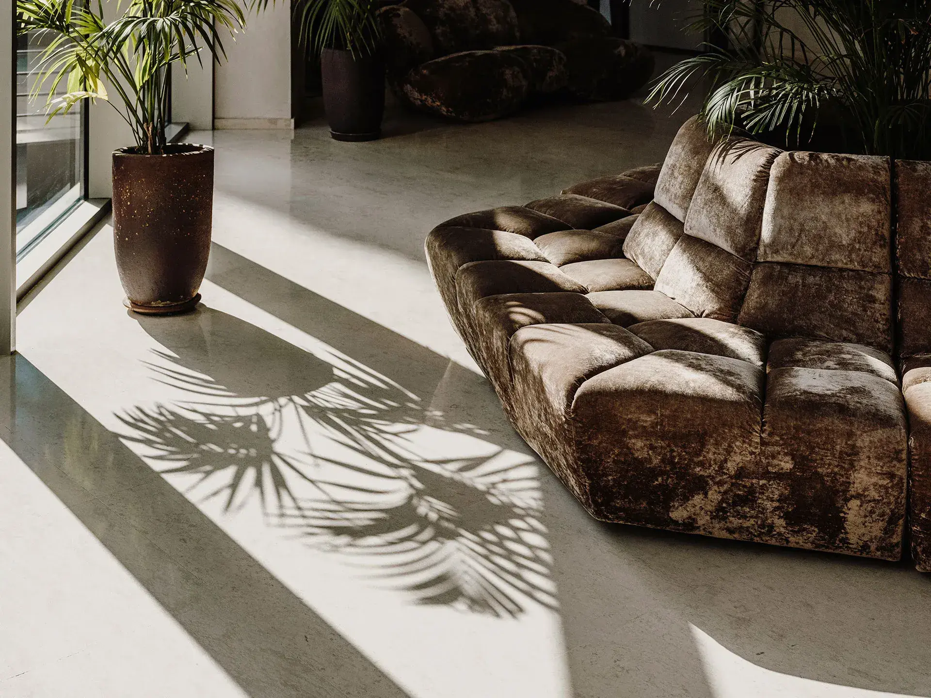 Aguas de Ibiza: Lobby with velvet sofa, palms and shadow patterns
