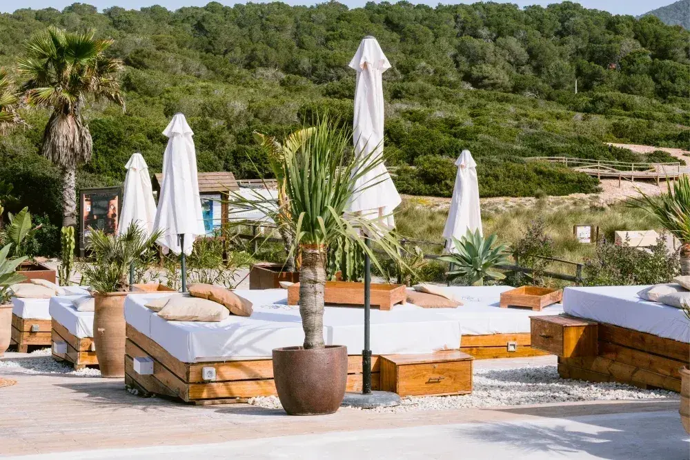 Atzaró Beach: Daybeds with parasols below a pine-covered hill