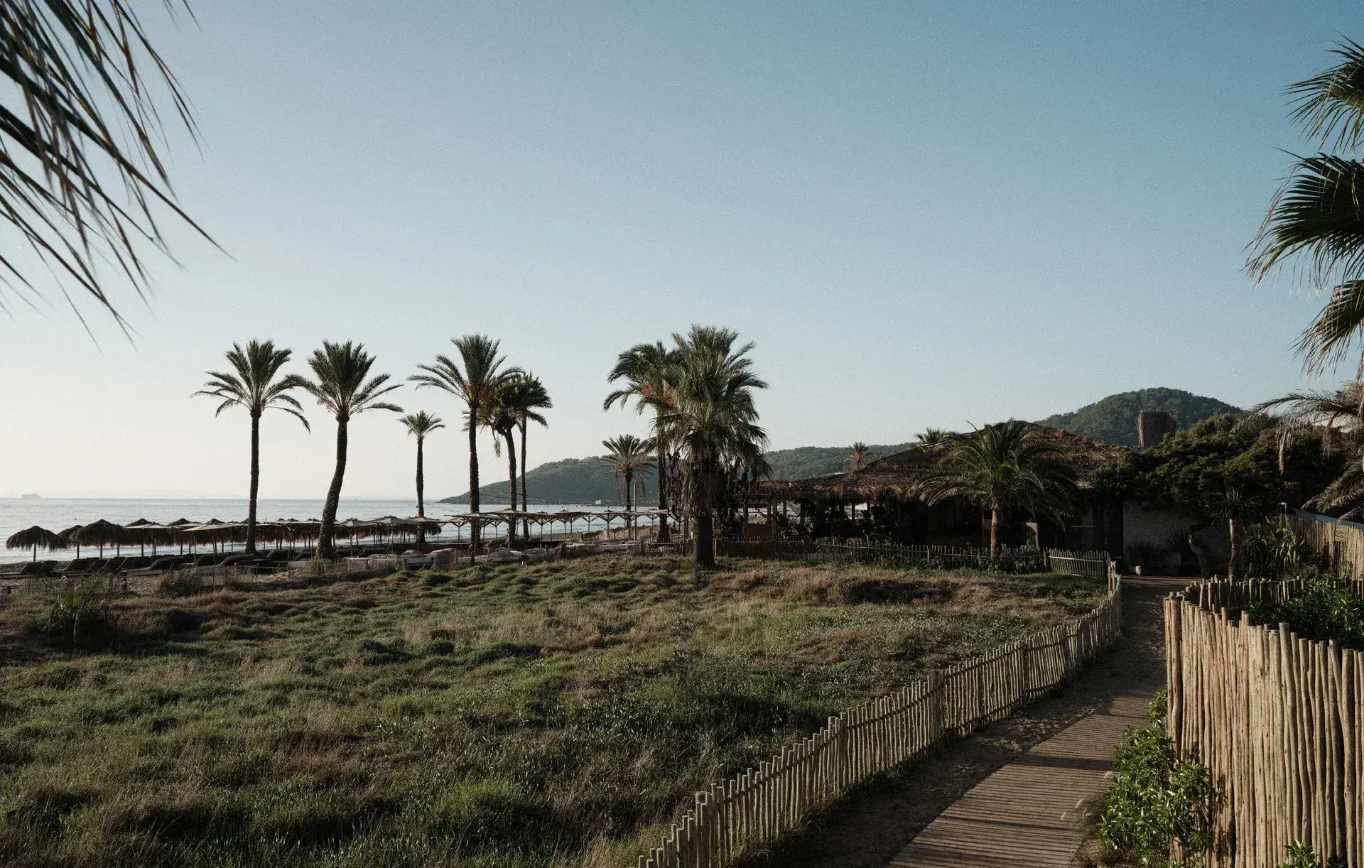 Beachouse Ibiza: Boardwalk through the dunes and palms towards the beach