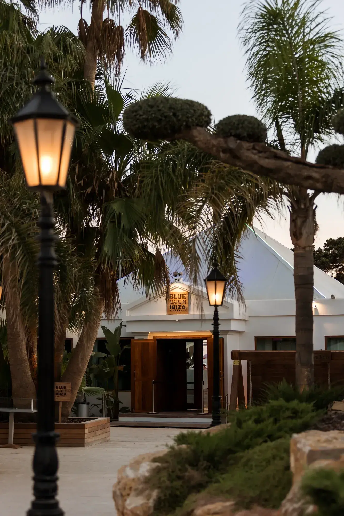 Blue Marlin Ibiza: Club entrance with lanterns and palms at dusk