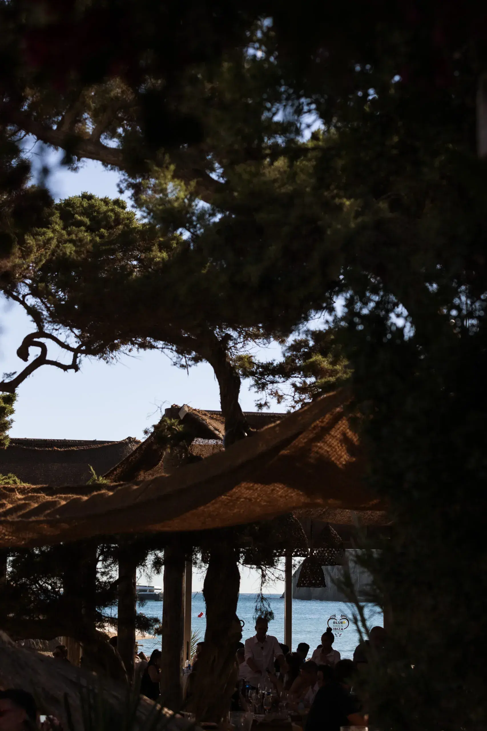 Blue Marlin Ibiza: Covered terrace under pines with the sea behind, evening