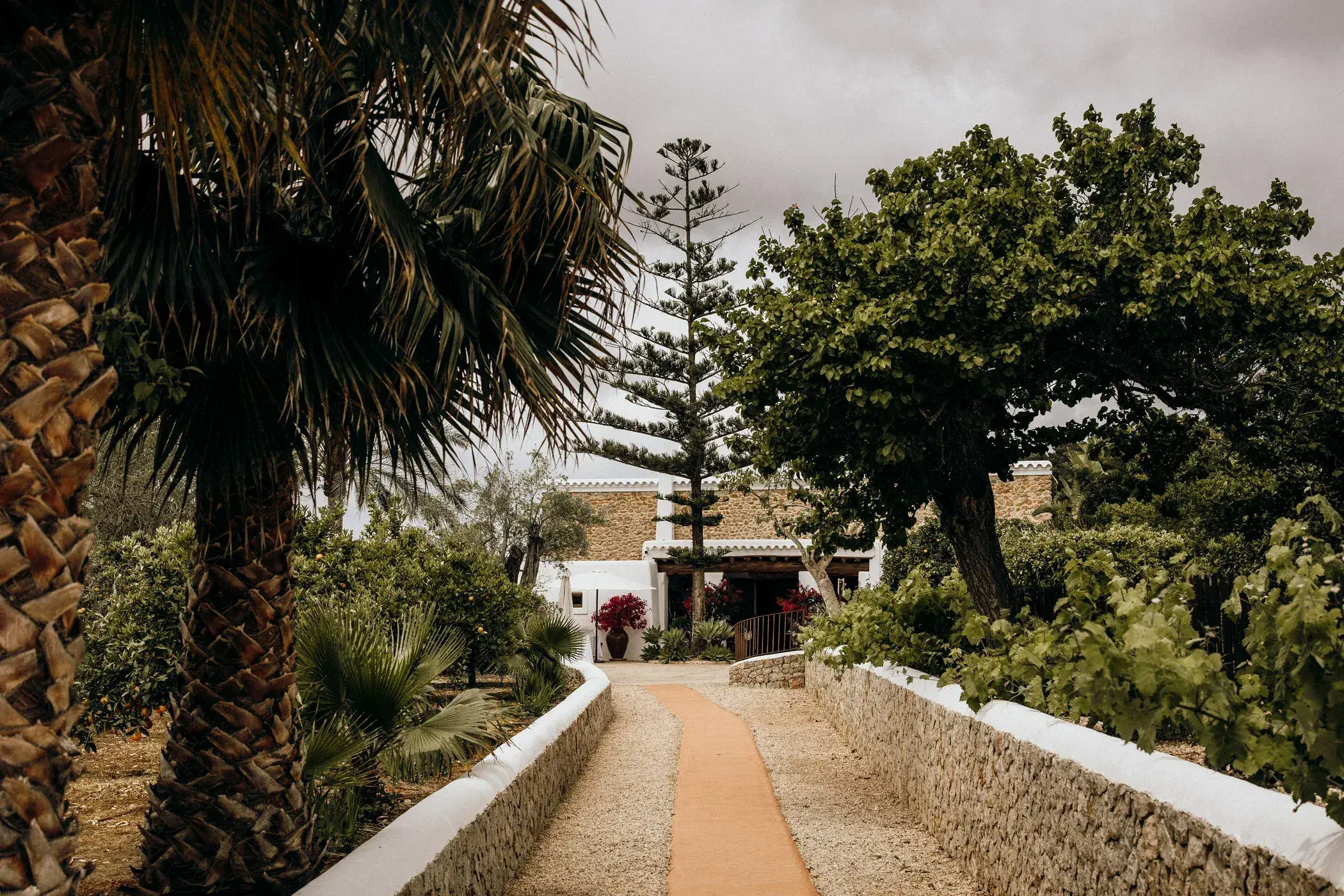 Can Gall: Stone path lined with palms and pines toward the farmhouse