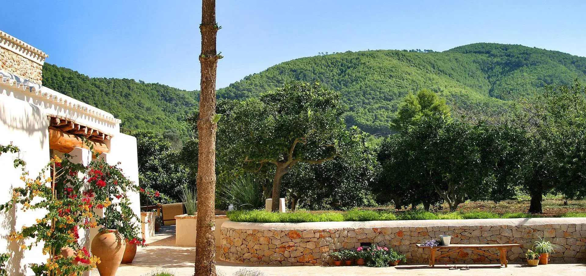 Can Gall: Farmhouse garden with pine-covered hills behind