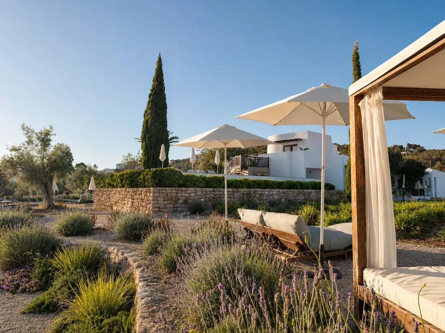 Can Skye Ibiza: Garden of lavender and olive trees with daybeds and parasols