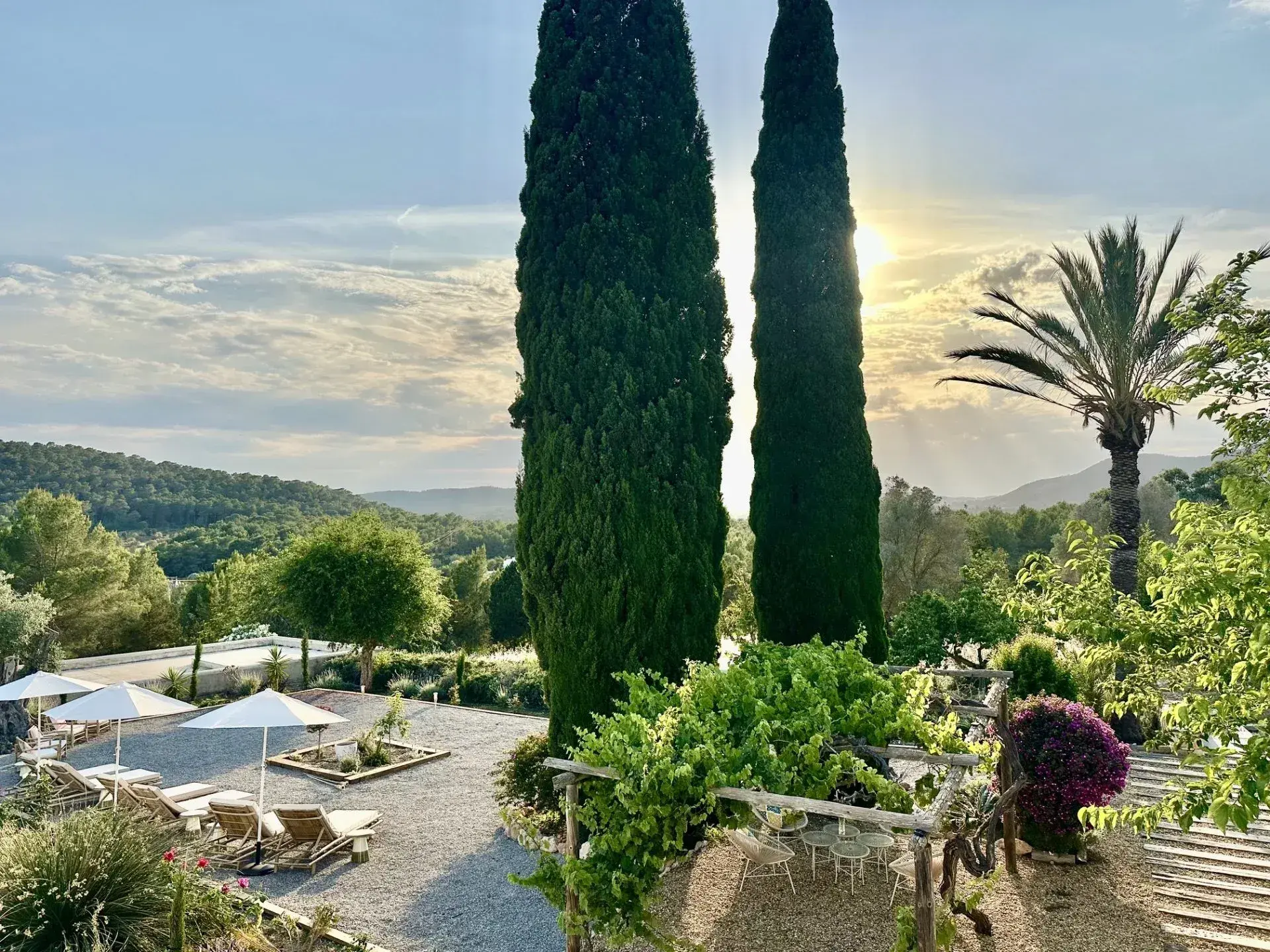Can Skye Ibiza: Cypress trees, palms and pool terrace above wooded valley