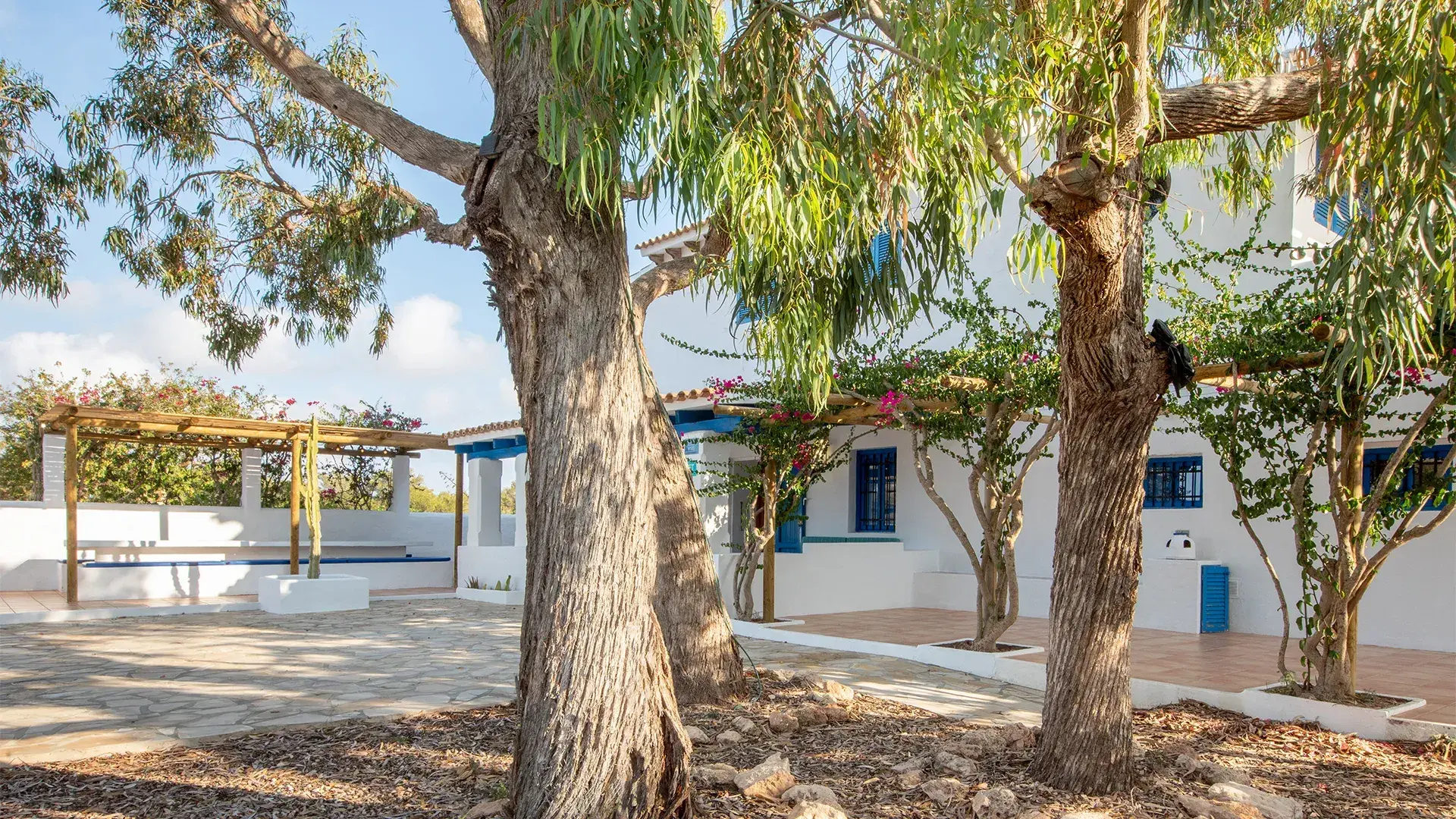 Cantoniblay: Courtyard with eucalyptus trees and whitewashed farmhouse