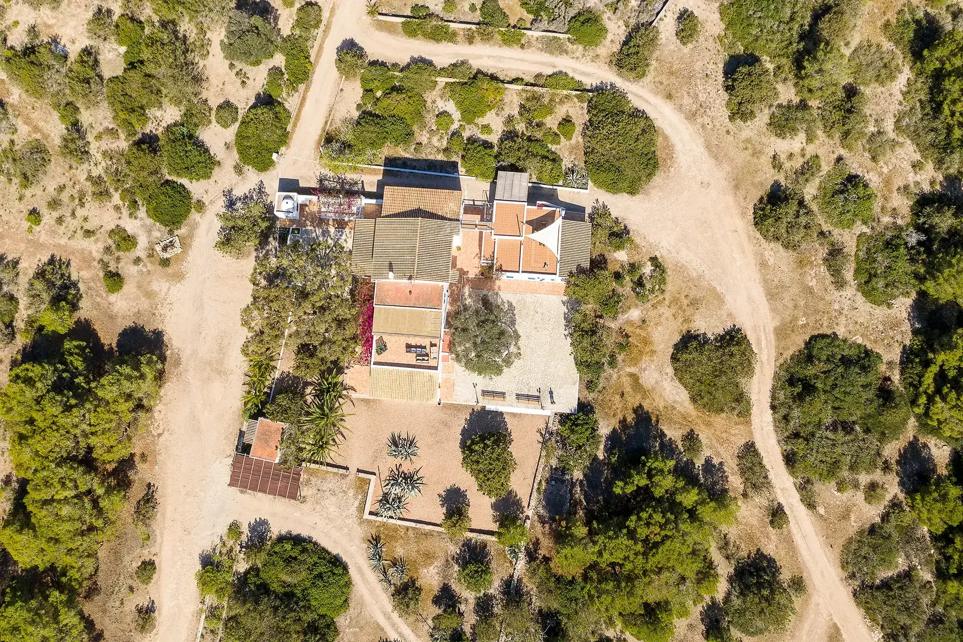 Cantoniblay: Aerial view of the farmhouse among pine and juniper woodland