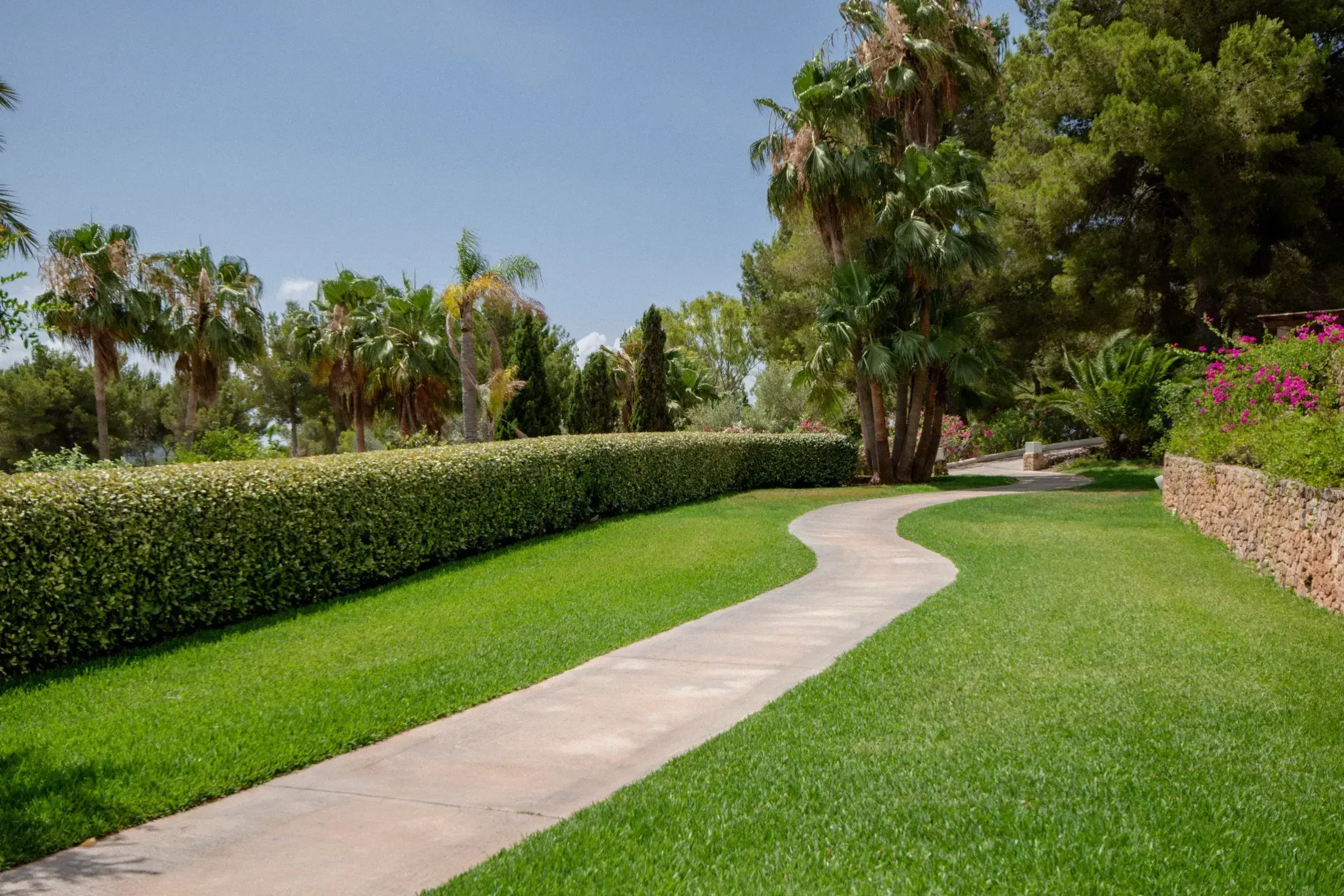 Finca Nest: Lawn path between hedges, palms and a dry-stone wall
