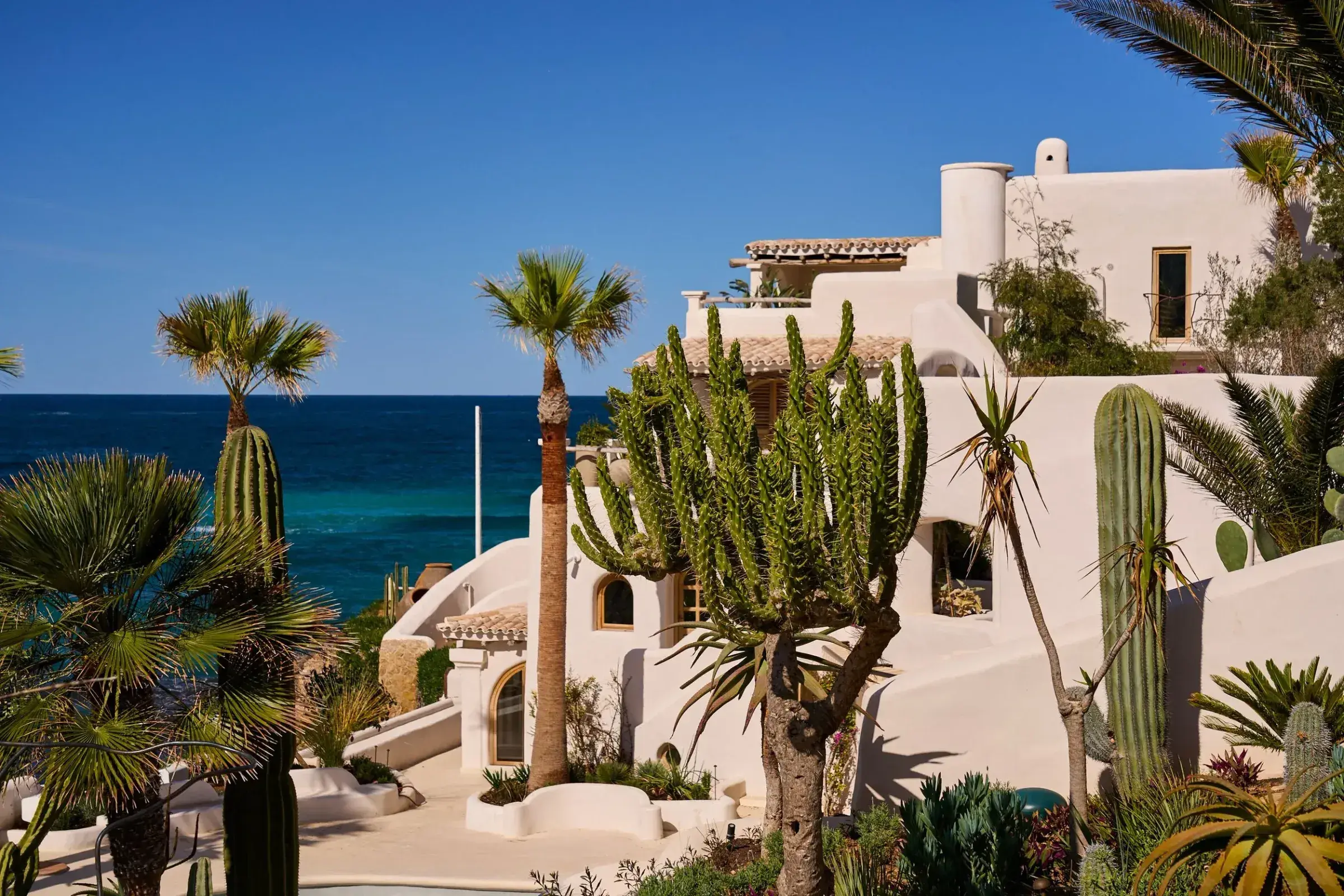 Fincadelica Xarraca: Tiered white buildings with cacti and palms above the sea