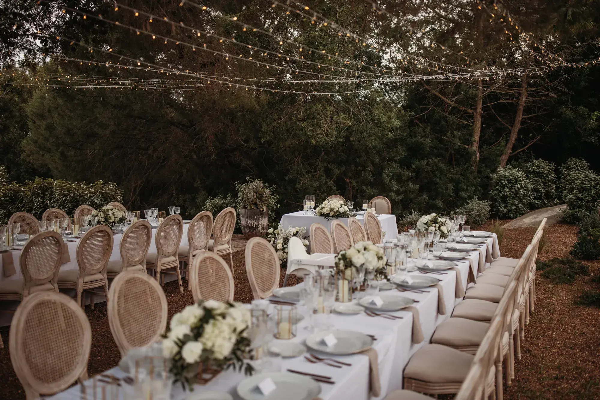 Long tables and festoon lights in the pines