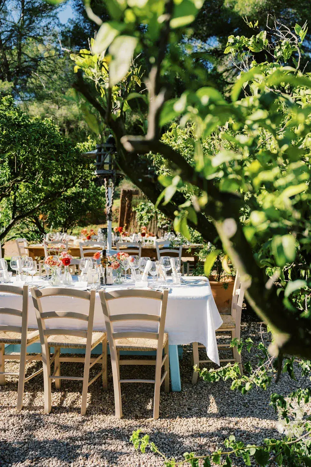 Tables under a fig tree, La Paloma