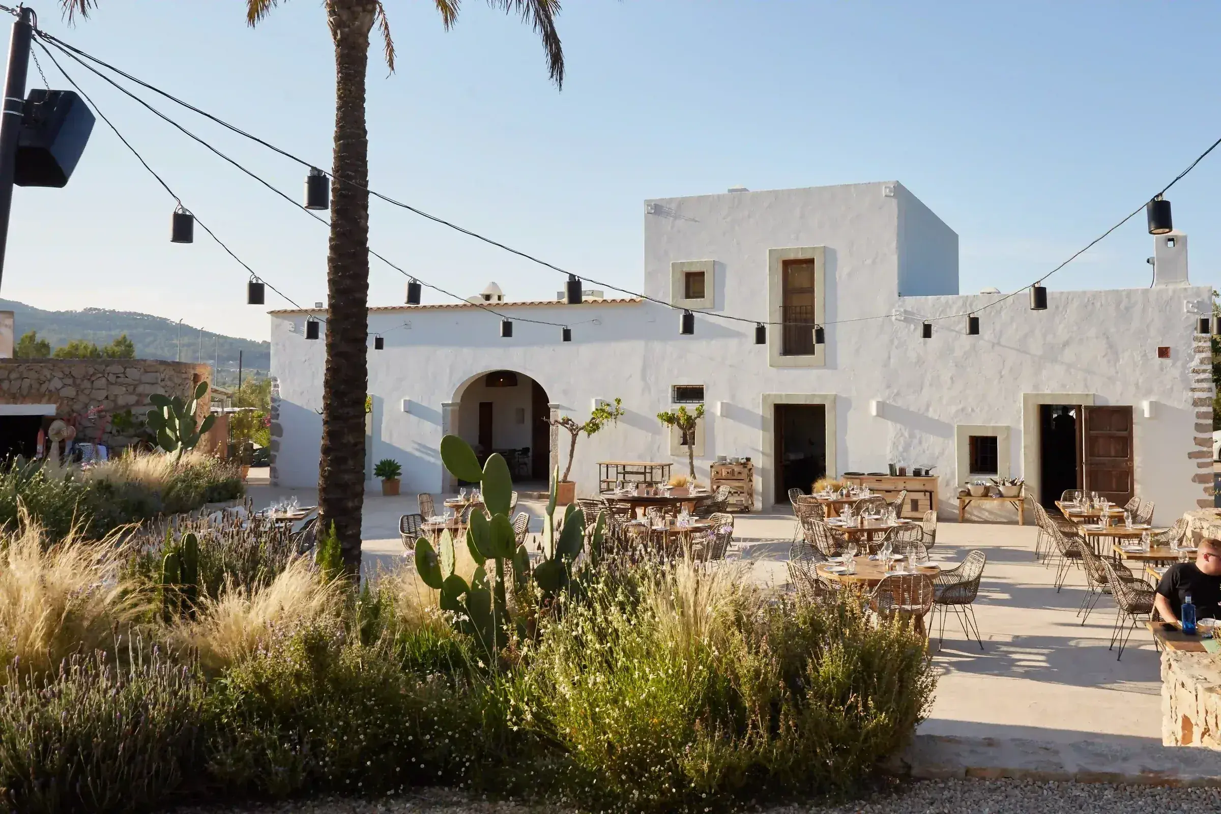 Juntos House: Whitewashed farmhouse and courtyard with palm, cacti and grasses