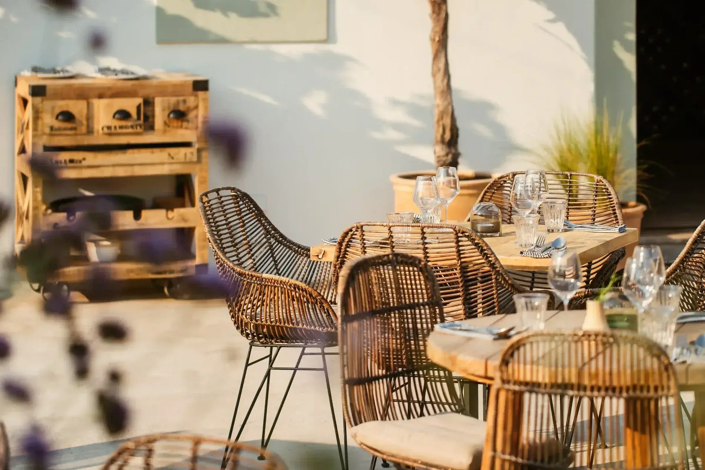 Juntos House: Terrace corner with rattan chairs and a vine on the white wall