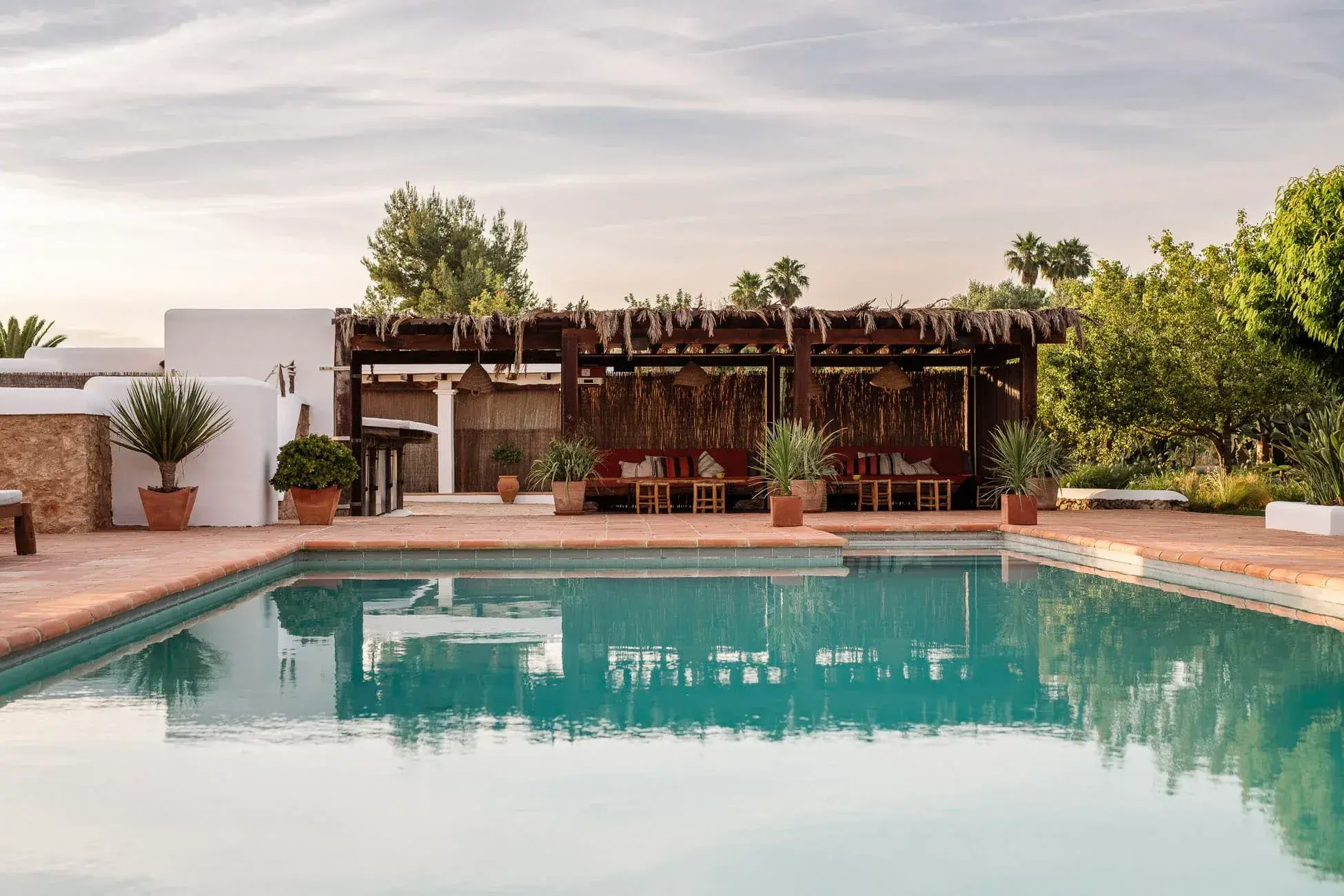 Las Cicadas: Pool in front of the whitewashed house and pergola