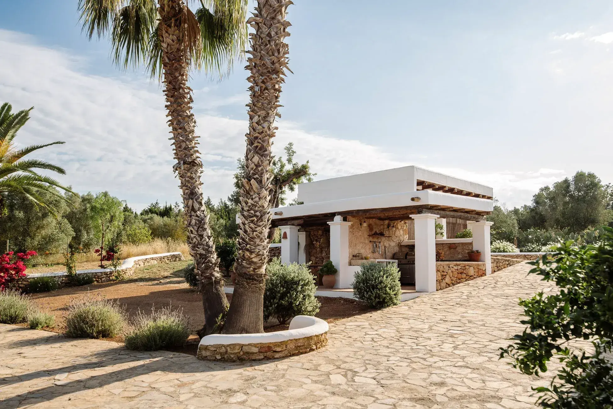 Las Cicadas: Palm trees and a whitewashed outbuilding in the garden