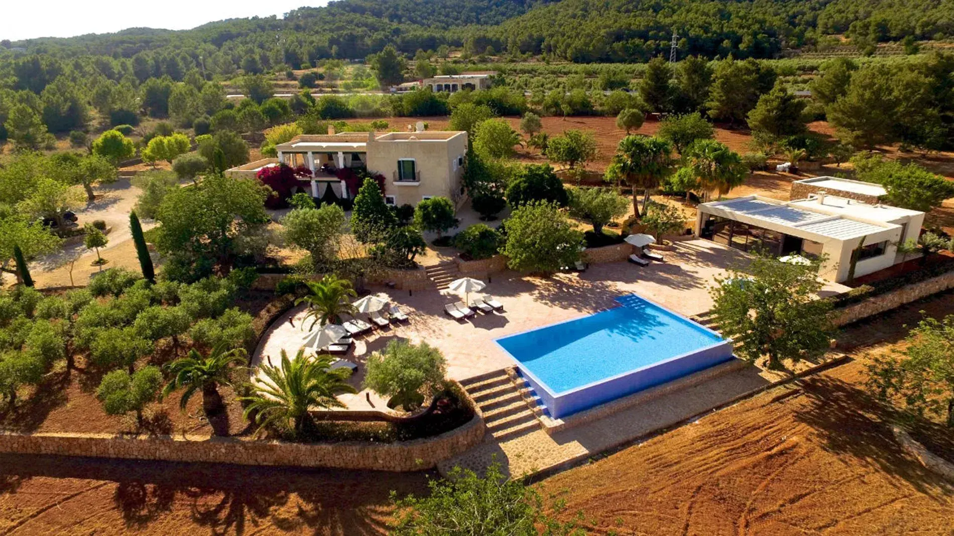 Villa Alex: Aerial view of the villa, pool and olive groves