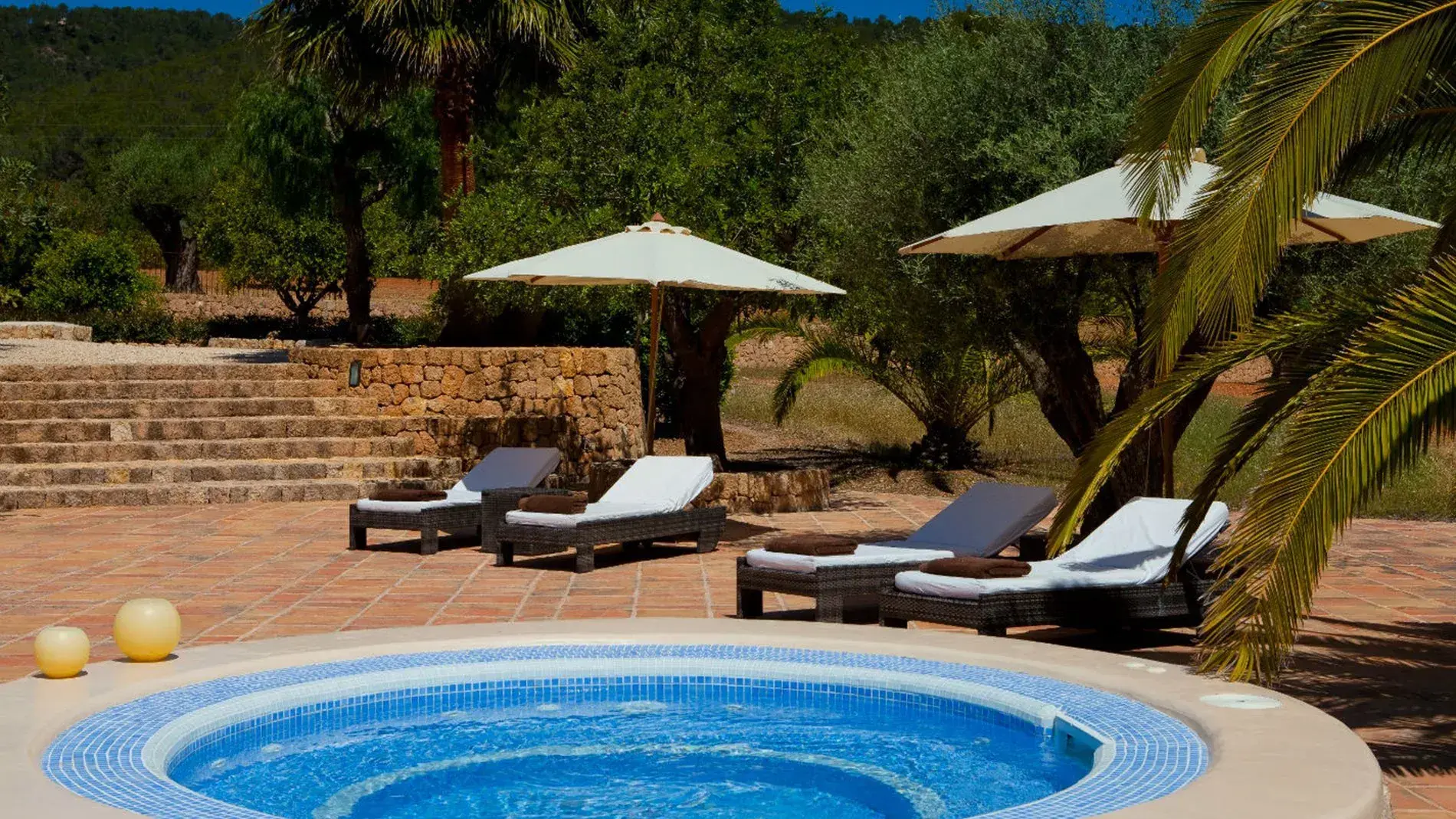 Villa Alex: Stone terrace with hot tub, sun loungers and palms