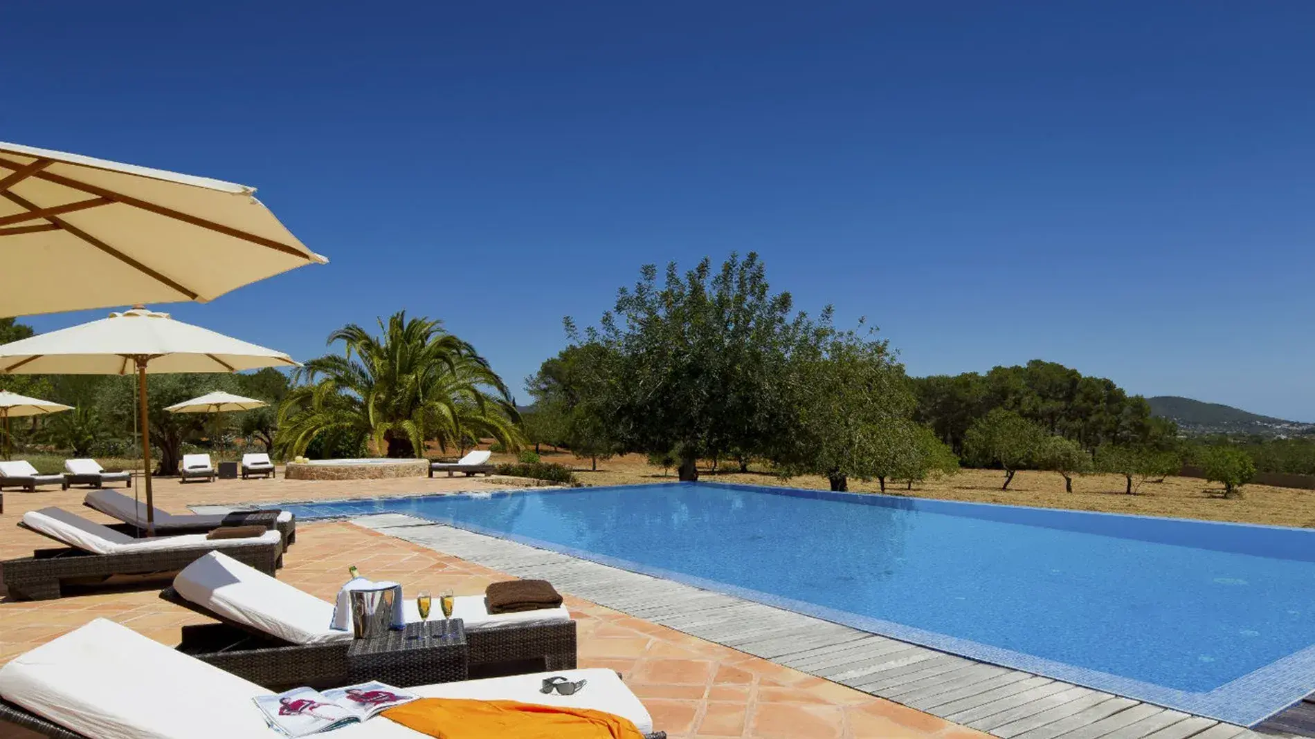 Villa Alex: Pool deck with loungers looking over the countryside
