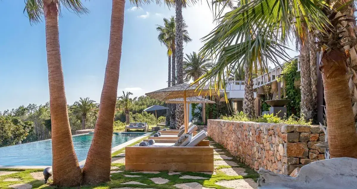 Villa Bliss Palm: palms around the pool