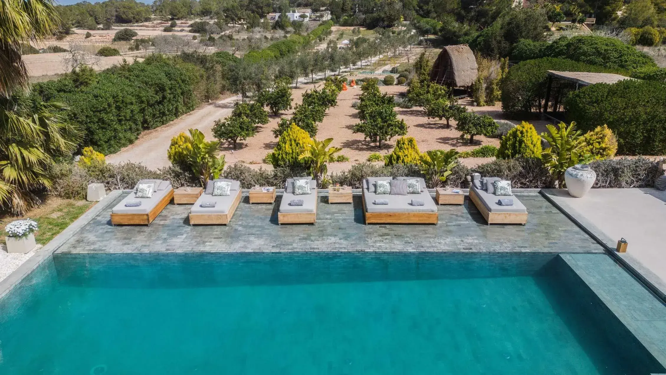 Villa Cala Bassa: Pool with daybeds beside the orchard and gravel garden
