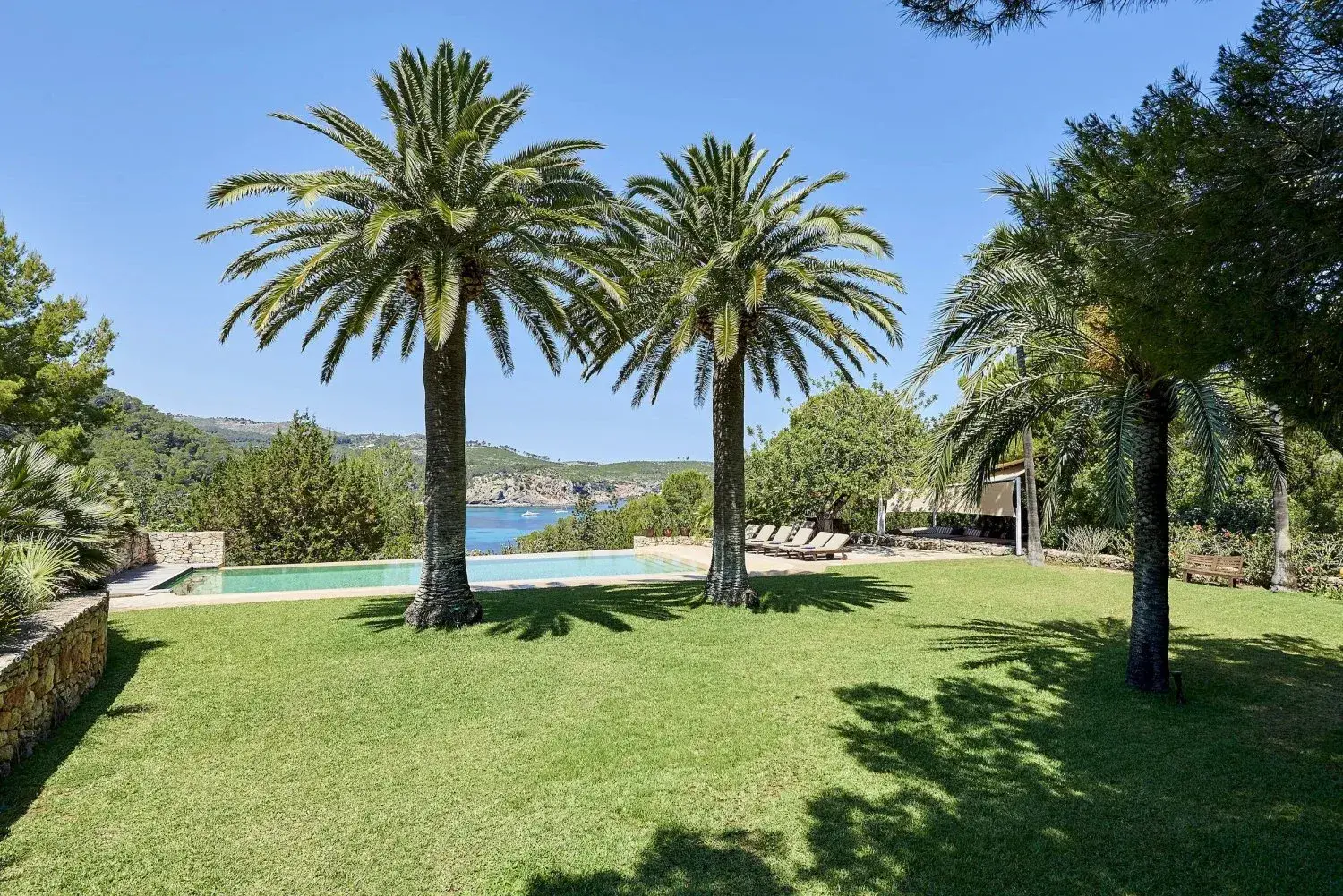 Villa Santy: Lawn with palm trees and pool looking toward the bay