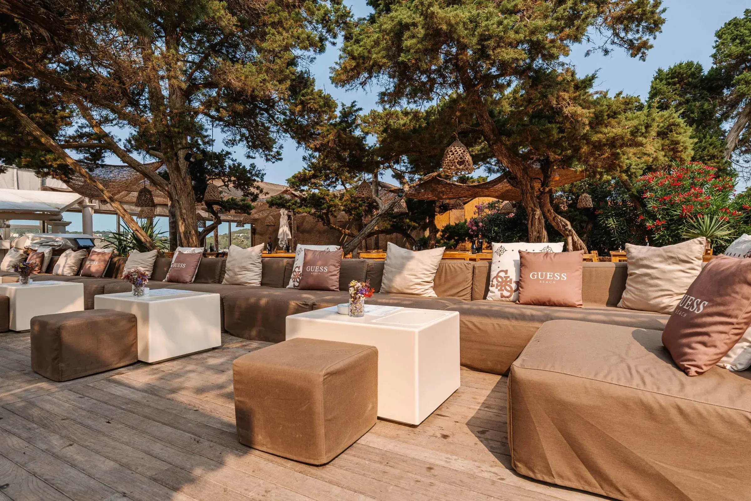 Blue Marlin Ibiza: Lounge terrace with low sofas under pine trees by the beach