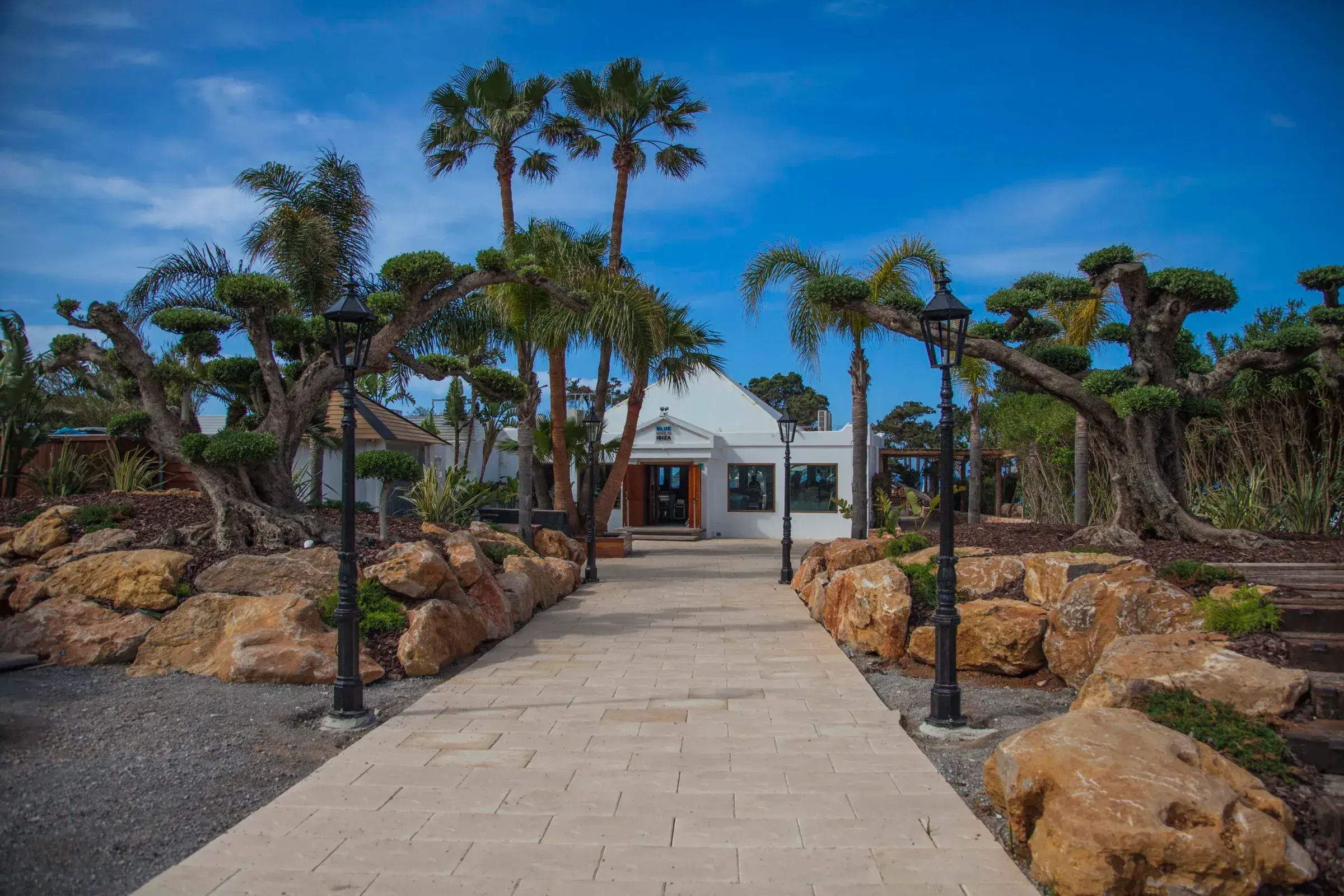 Blue Marlin Ibiza: Palm-lined entrance walkway to the club