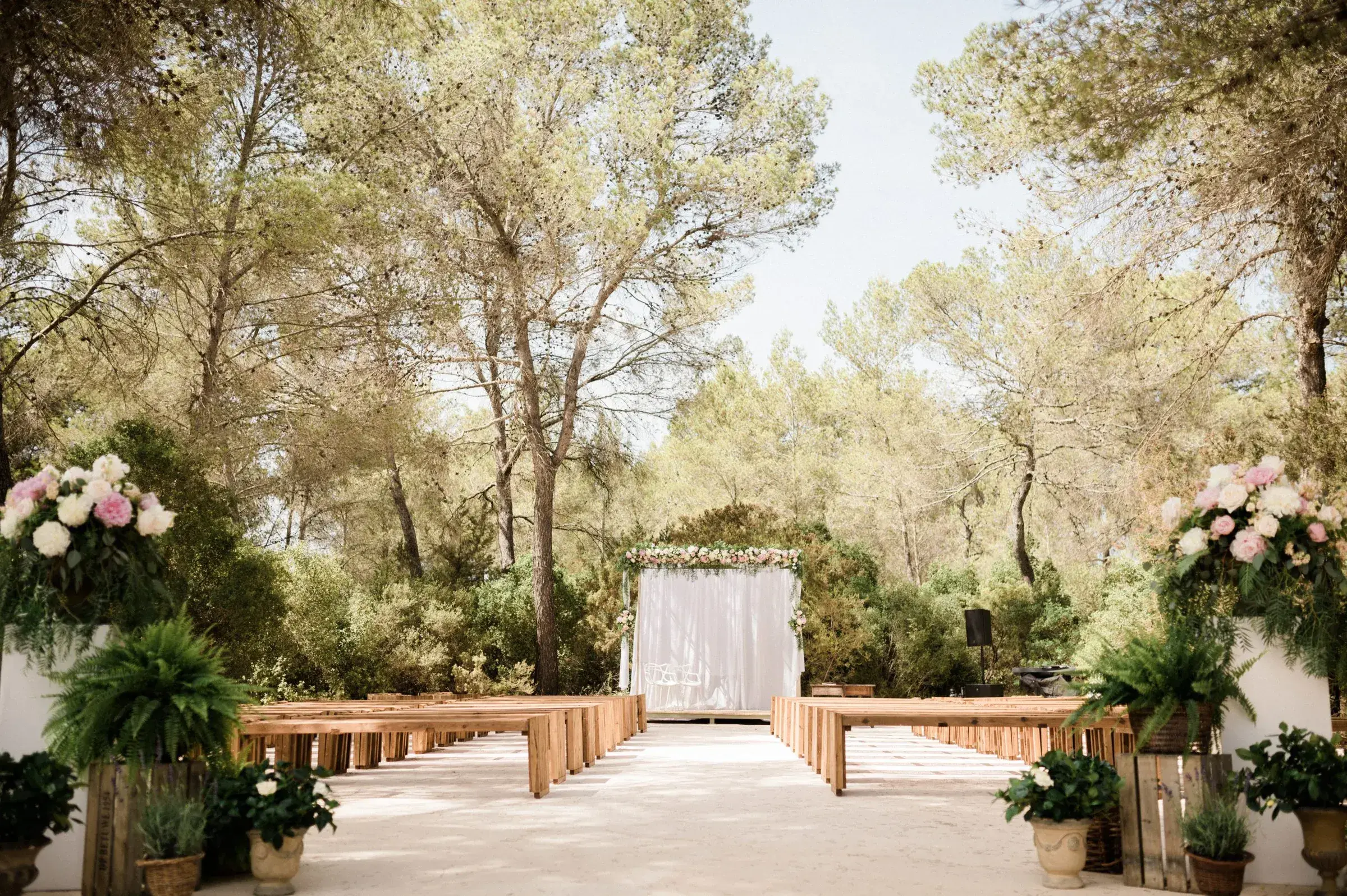 Ca Na Xica: Ceremony area in the pine wood with wooden benches and a white draped arch