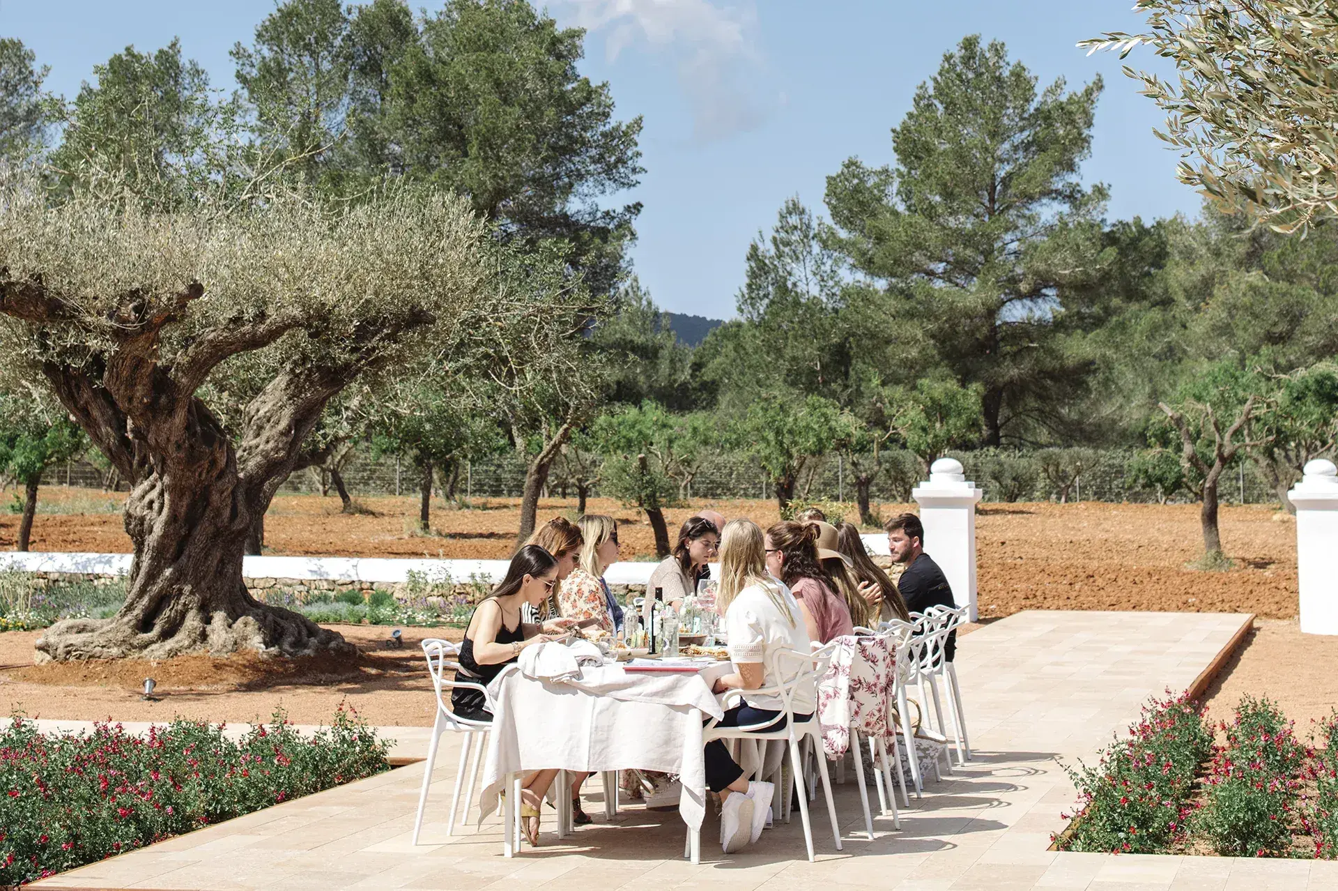 Ca Na Xica: Long dinner table under old olive trees in the patio