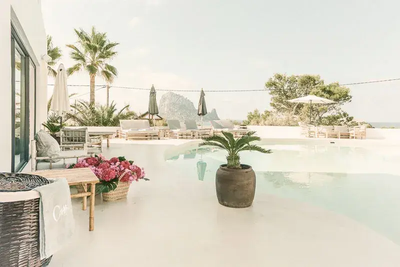 Cotton Beach Club: White pool deck and lounge area with palms