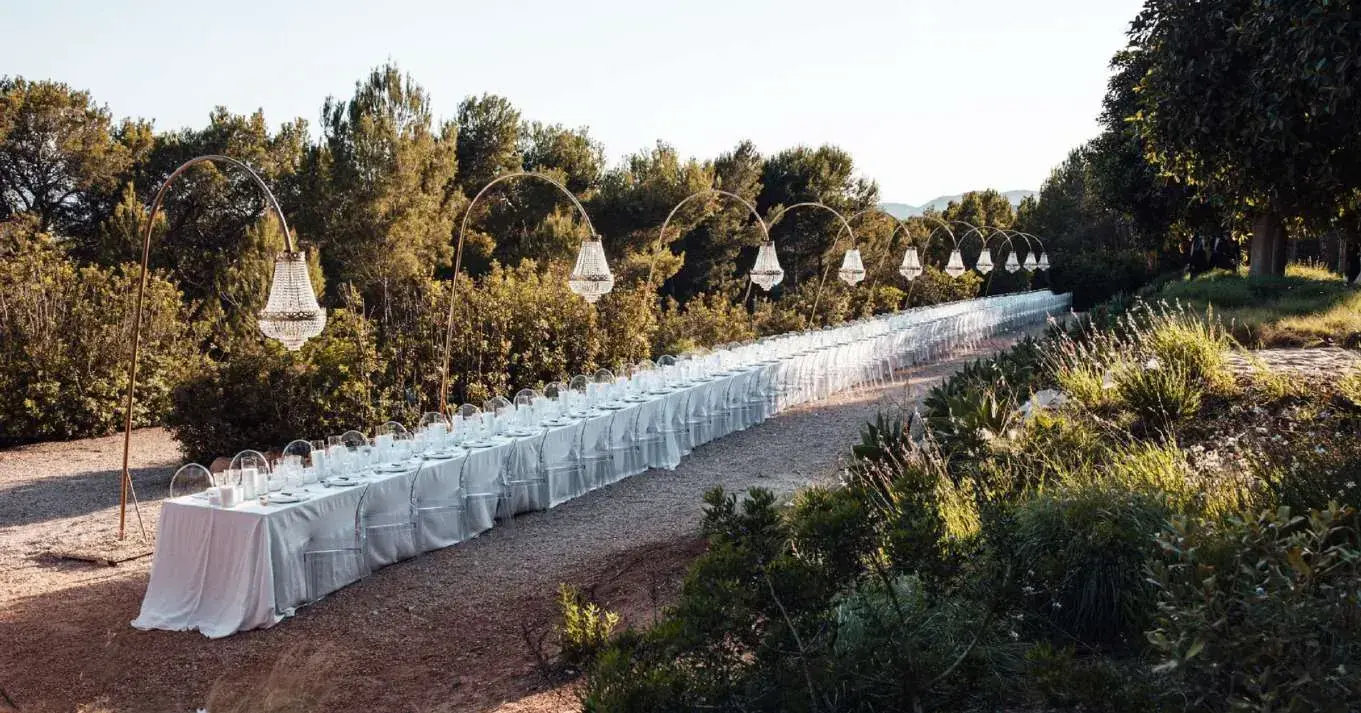 Long wedding table among the pines