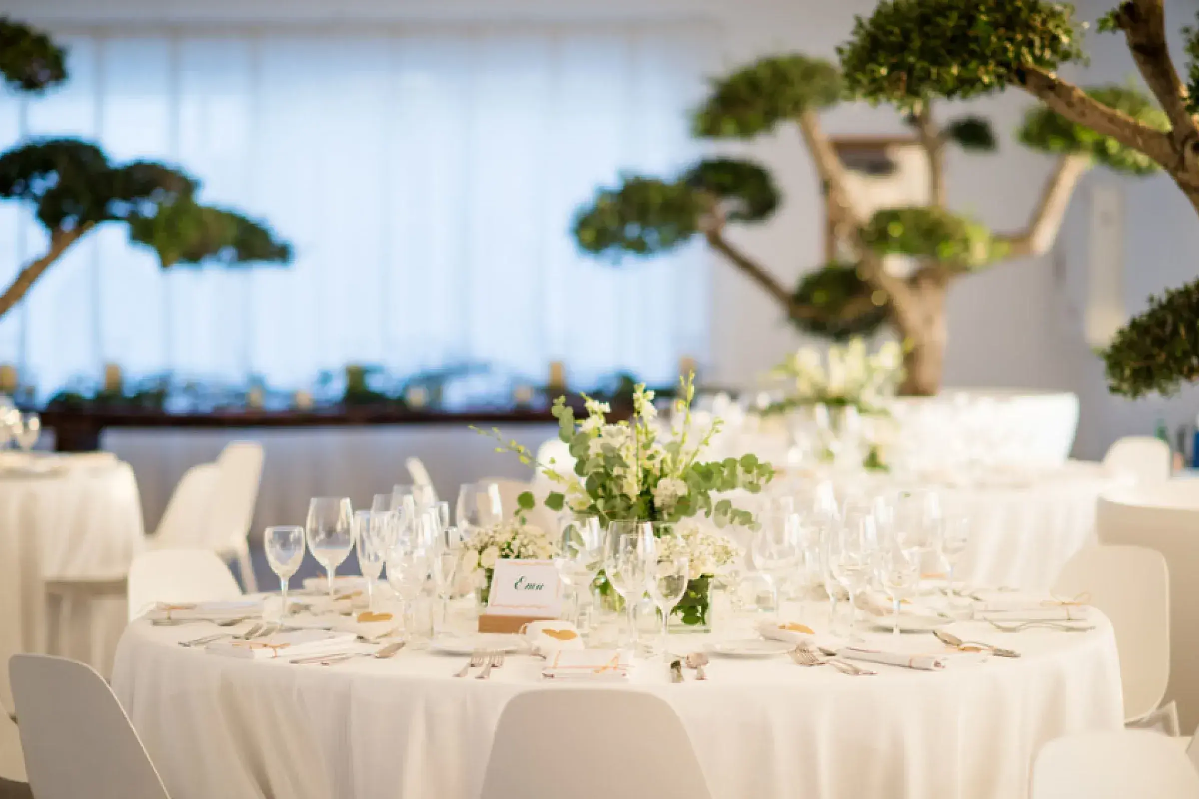 Hacienda Na Xamena: Eivissa Salon set with round tables, white linen and topiary centrepieces