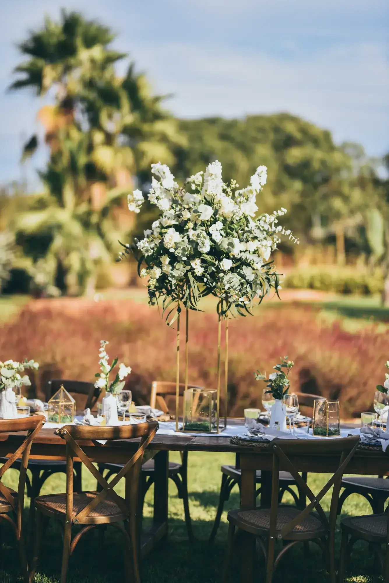 A white flower tower over the table