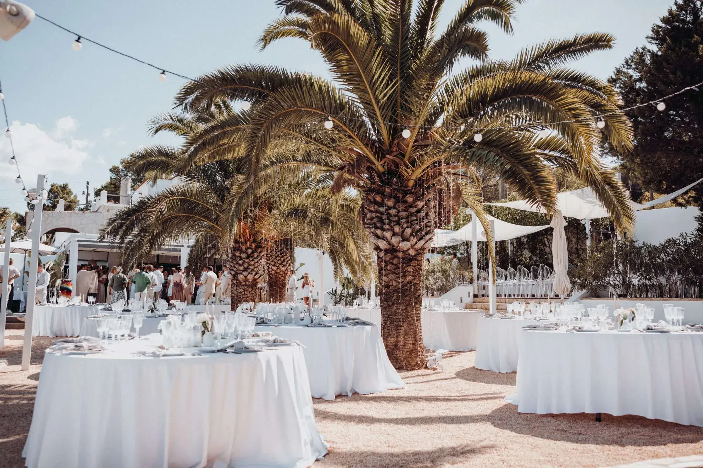 Kazamor: Reception tables and festoon lights on the palm terrace